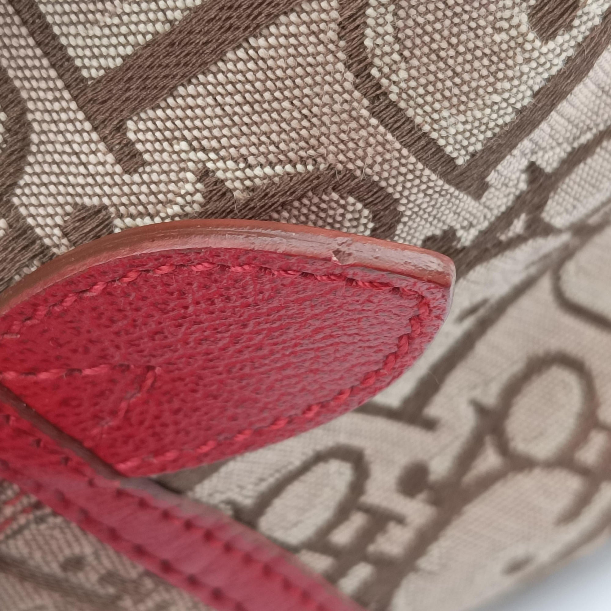 Pre-owned Christian Dior Rasta Trotter beige×Multicolour Canvas × Leather  handbag | stylenewstar