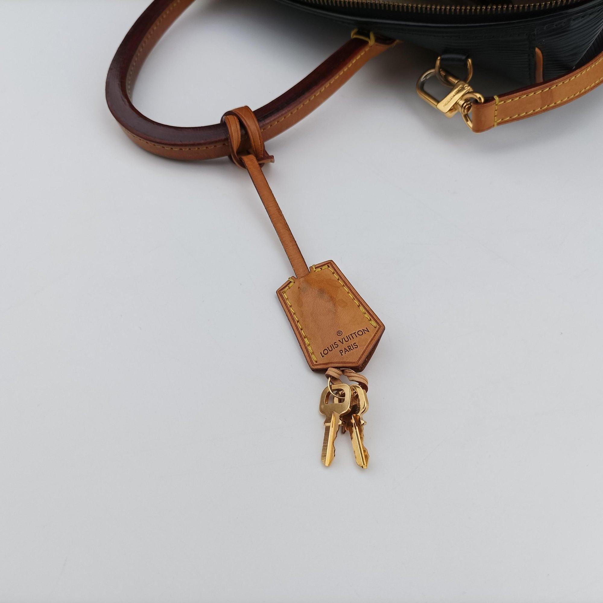 Pre-owned Louis Vuitton Dock PM Noir epi M93245 shoulderbag | stylenewstar