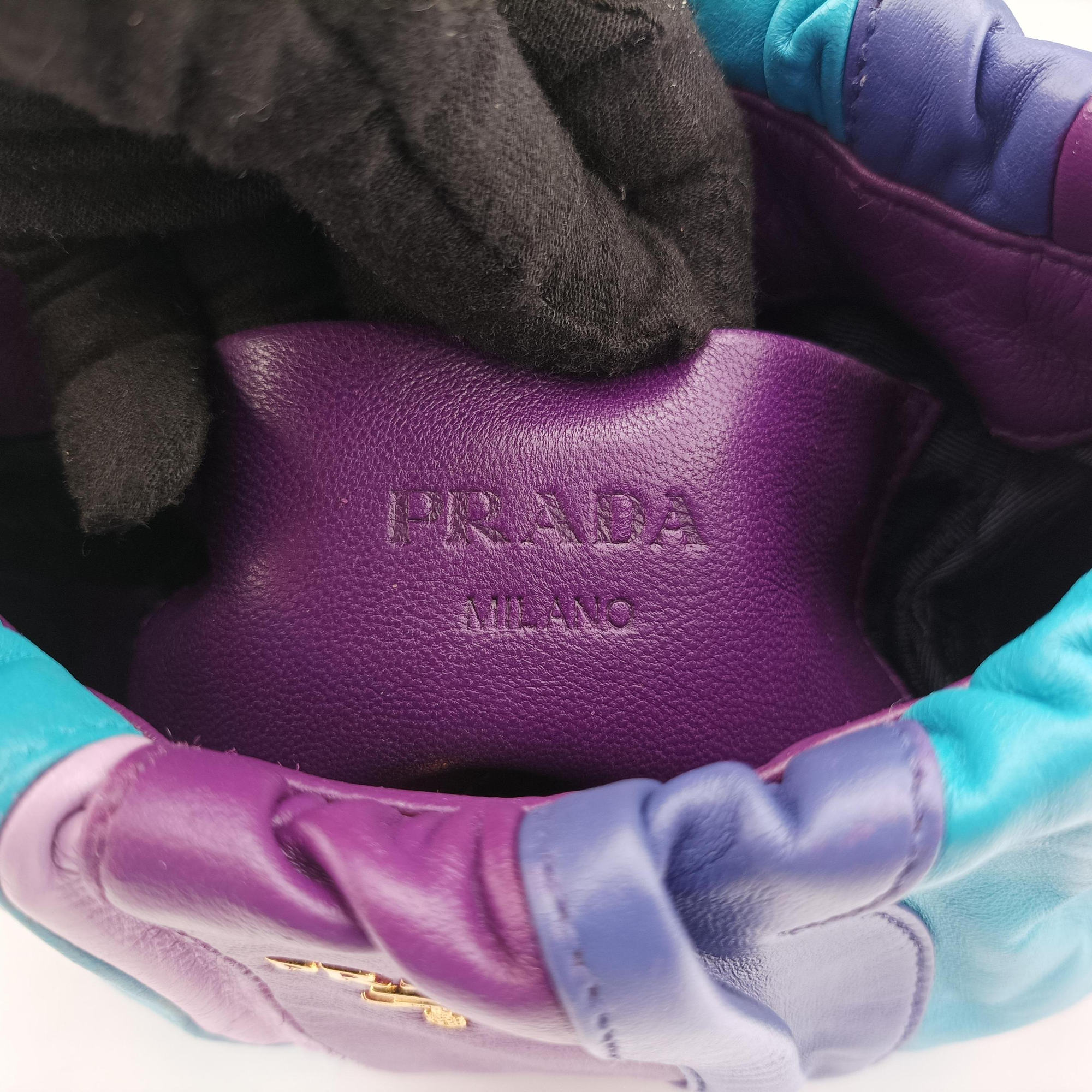 Pre-owned Prada  Trembled Blossoms Multicolor Purple × Blue Nappa Leather BN1680 shoulderbag | stylenewstar