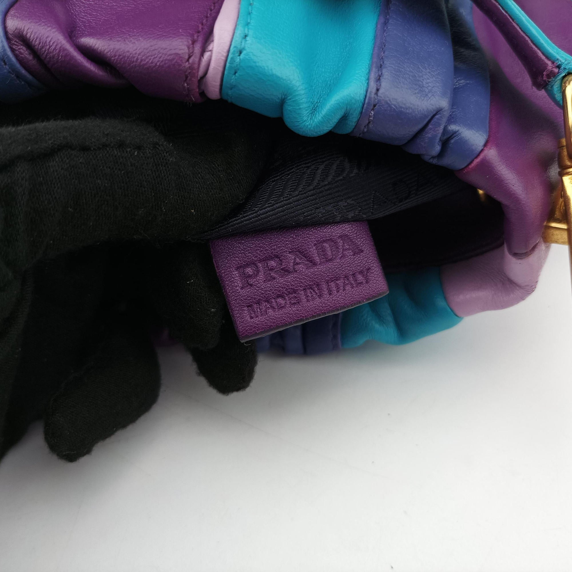 Pre-owned Prada  Trembled Blossoms Multicolor Purple × Blue Nappa Leather BN1680 shoulderbag | stylenewstar