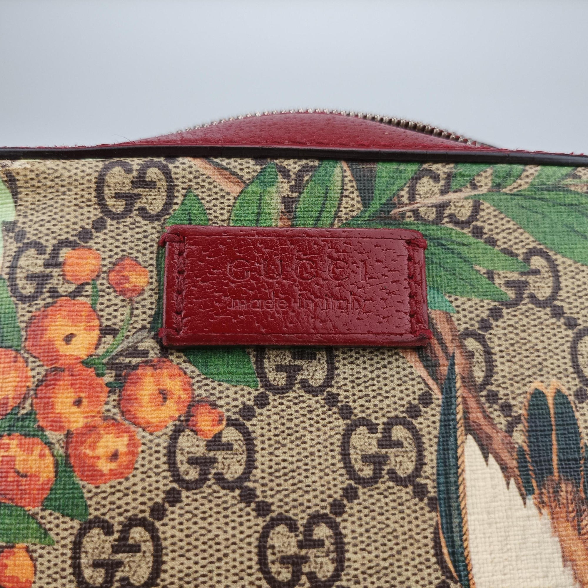 Secondhand Gucci GG Supreme Tian Camera Brown PVC coated canvas×Leather 450947 shoulderbag | stylenewstar
