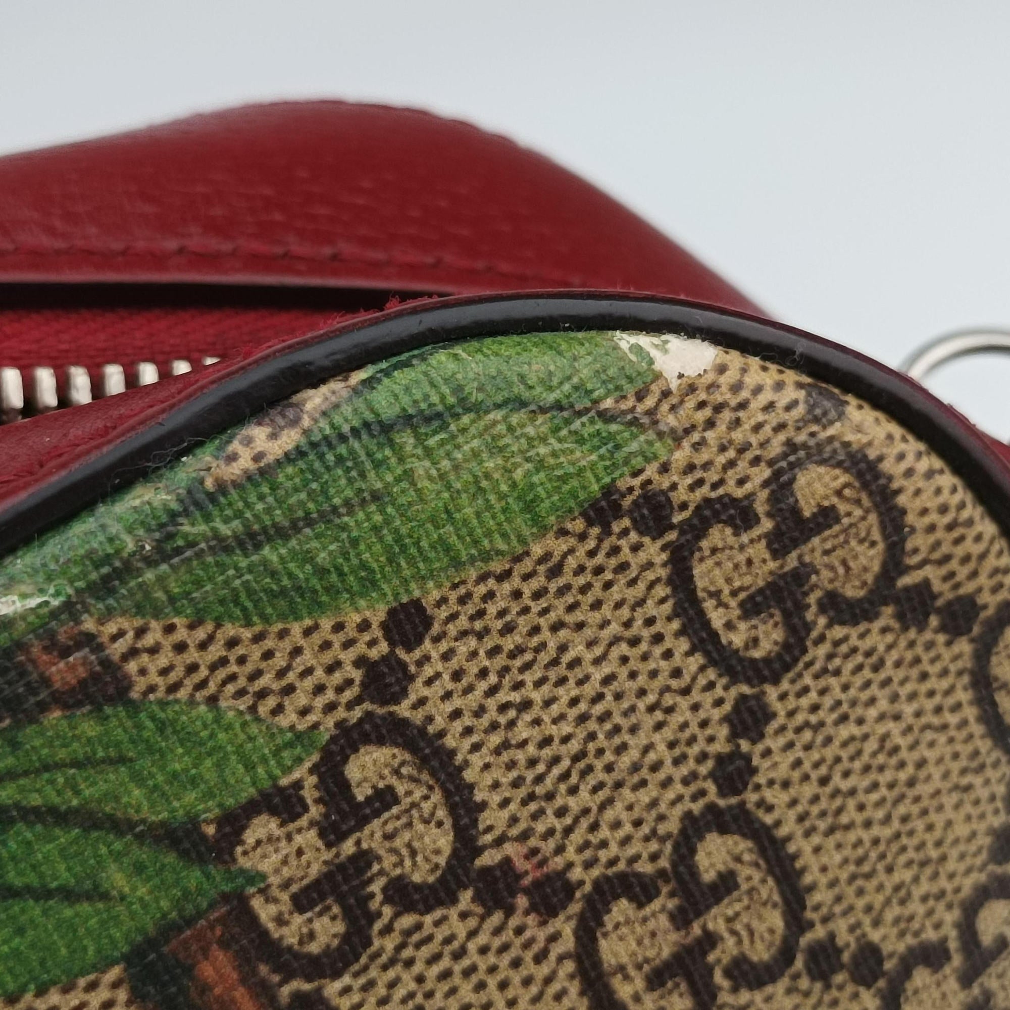 Secondhand Gucci GG Supreme Tian Camera Brown PVC coated canvas×Leather 450947 shoulderbag | stylenewstar