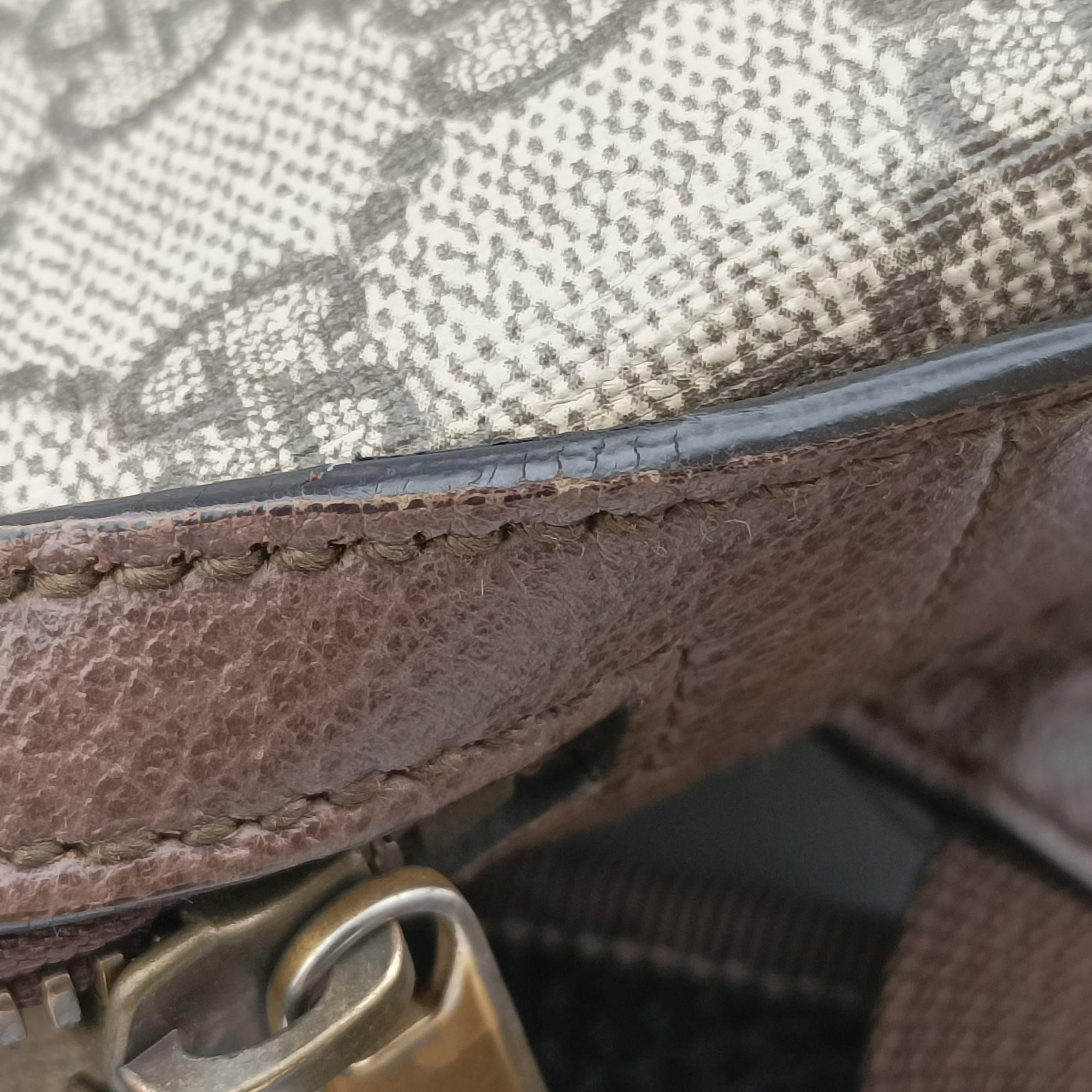 Pre-owned Gucci ophidia The Three Little Pigs Brown×Multicolour PVC coated canvas 552884 backpack/rucksack | stylenewstar