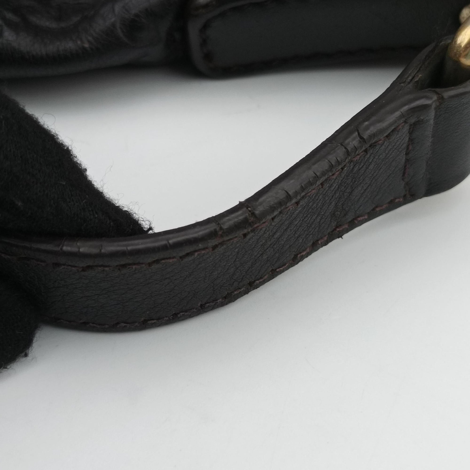 Pre-owned Gucci GG Plus GG Supreme Brown leather 223666 shoulderbag | stylenewstar