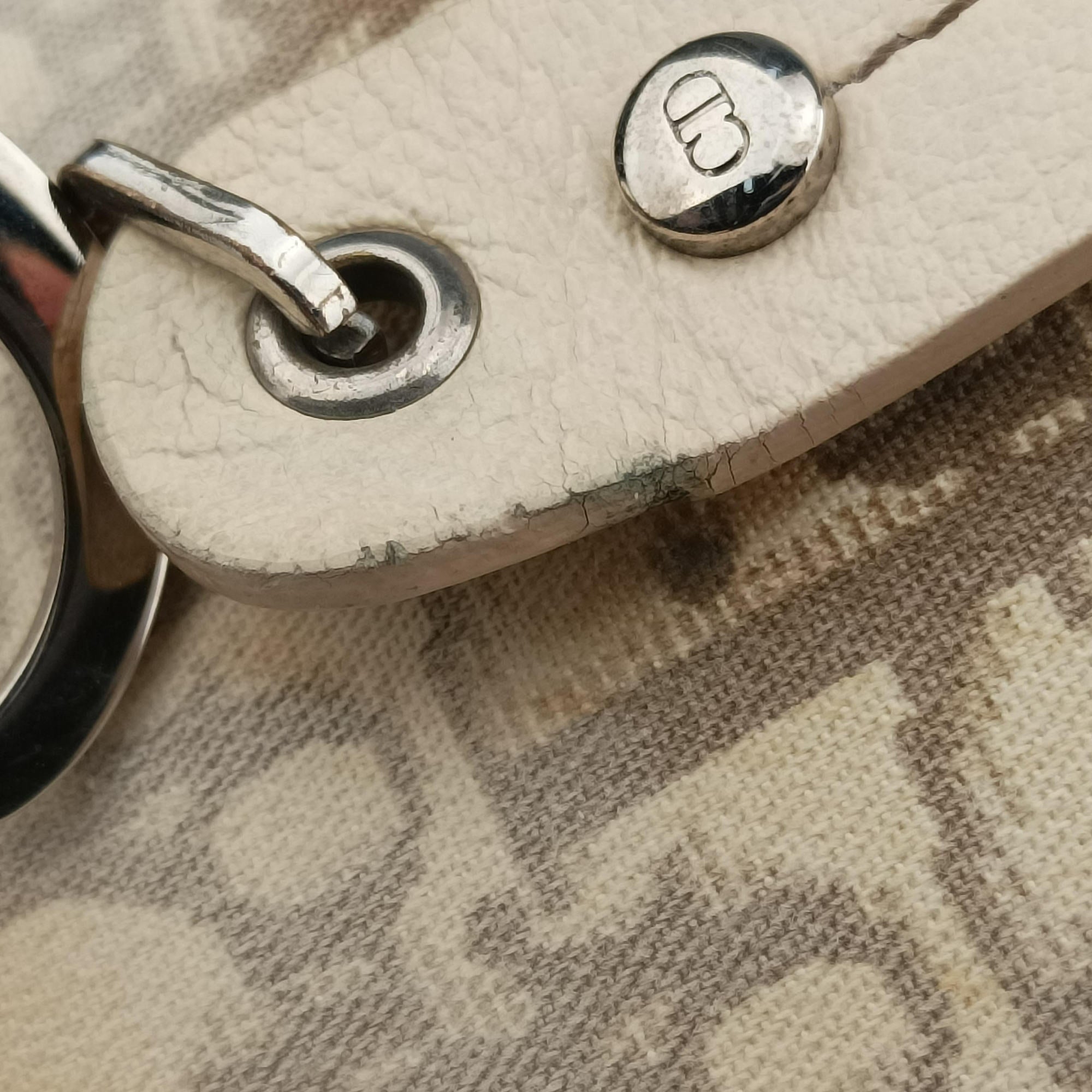 Pre-owned Christian Dior Trotter Flower Line White x Beige x Multicolor canvas × leather  handbag | stylenewstar