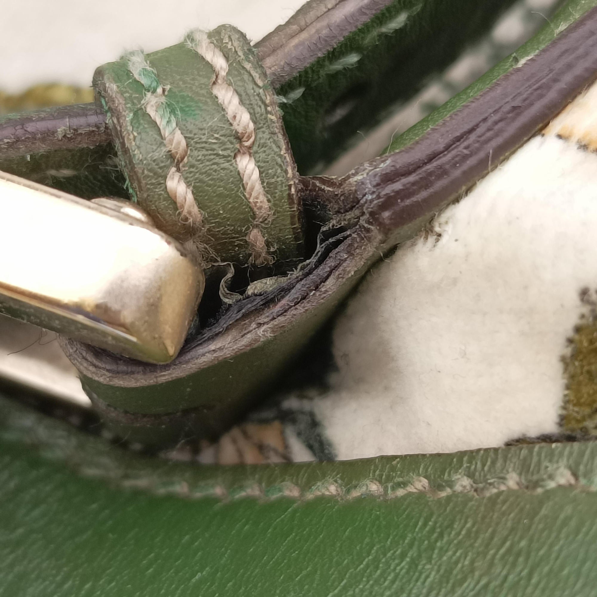 Pre-owned Gucci Interlocking GG Mushroom Flora Multicolour velour 162886 shoulderbag | stylenewstar