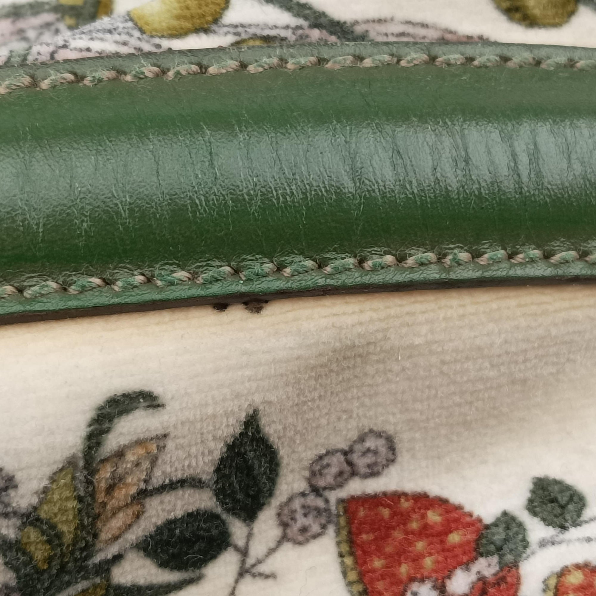 Pre-owned Gucci Interlocking GG Mushroom Flora Multicolour velour 162886 shoulderbag | stylenewstar