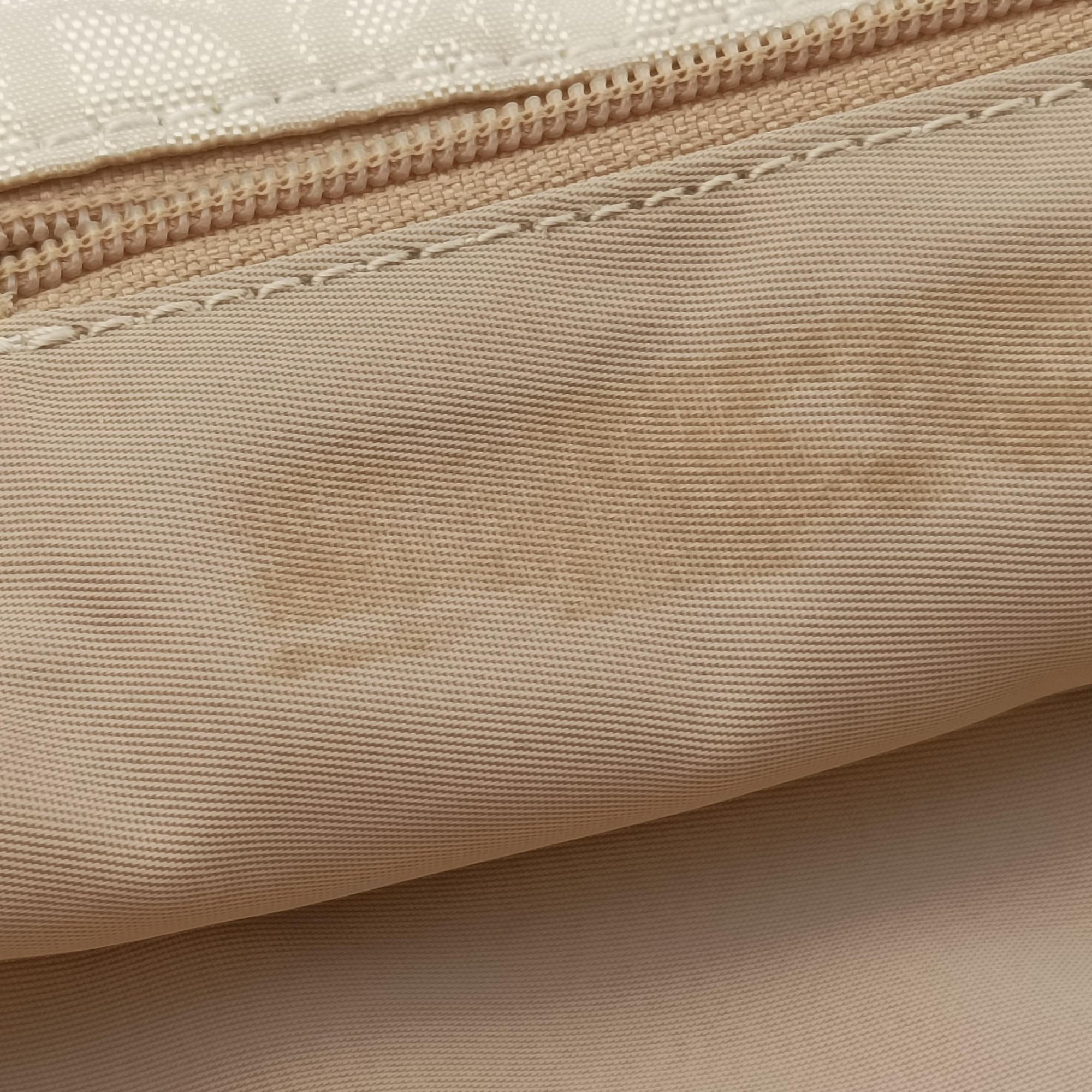 Pre-owned Christian Dior Lovely Beige Diorissimo Canvas × Leather  handbag | stylenewstar