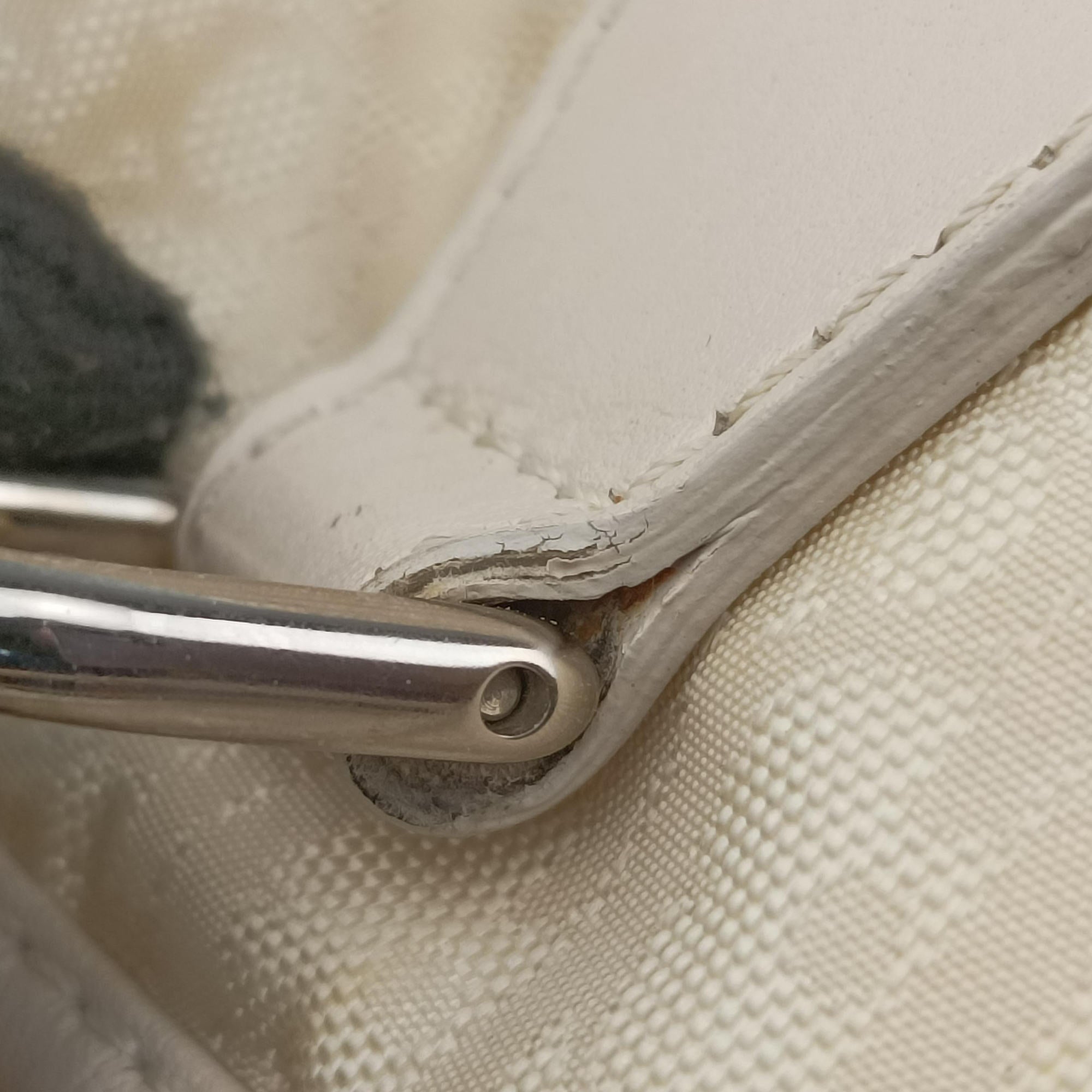Pre-owned Christian Dior Lovely Beige Diorissimo Canvas × Leather  handbag | stylenewstar