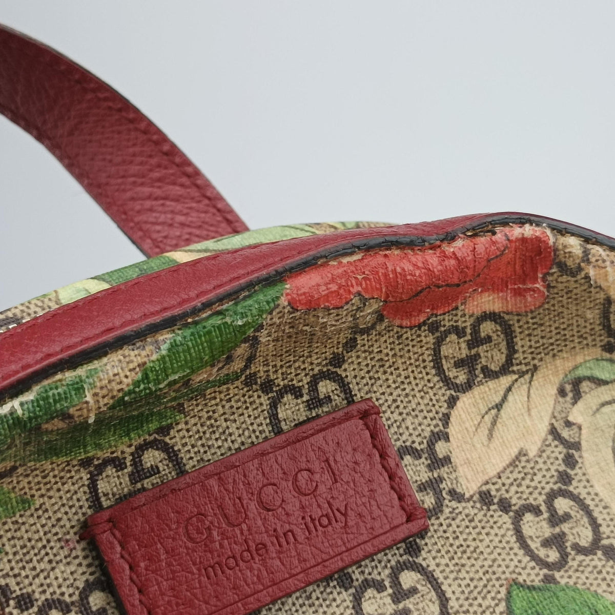 Pre-owned Gucci GG Supreme Tian Beige×multicolor PVC coated canvas×Leather 427042 backpack/rucksack | stylenewstar