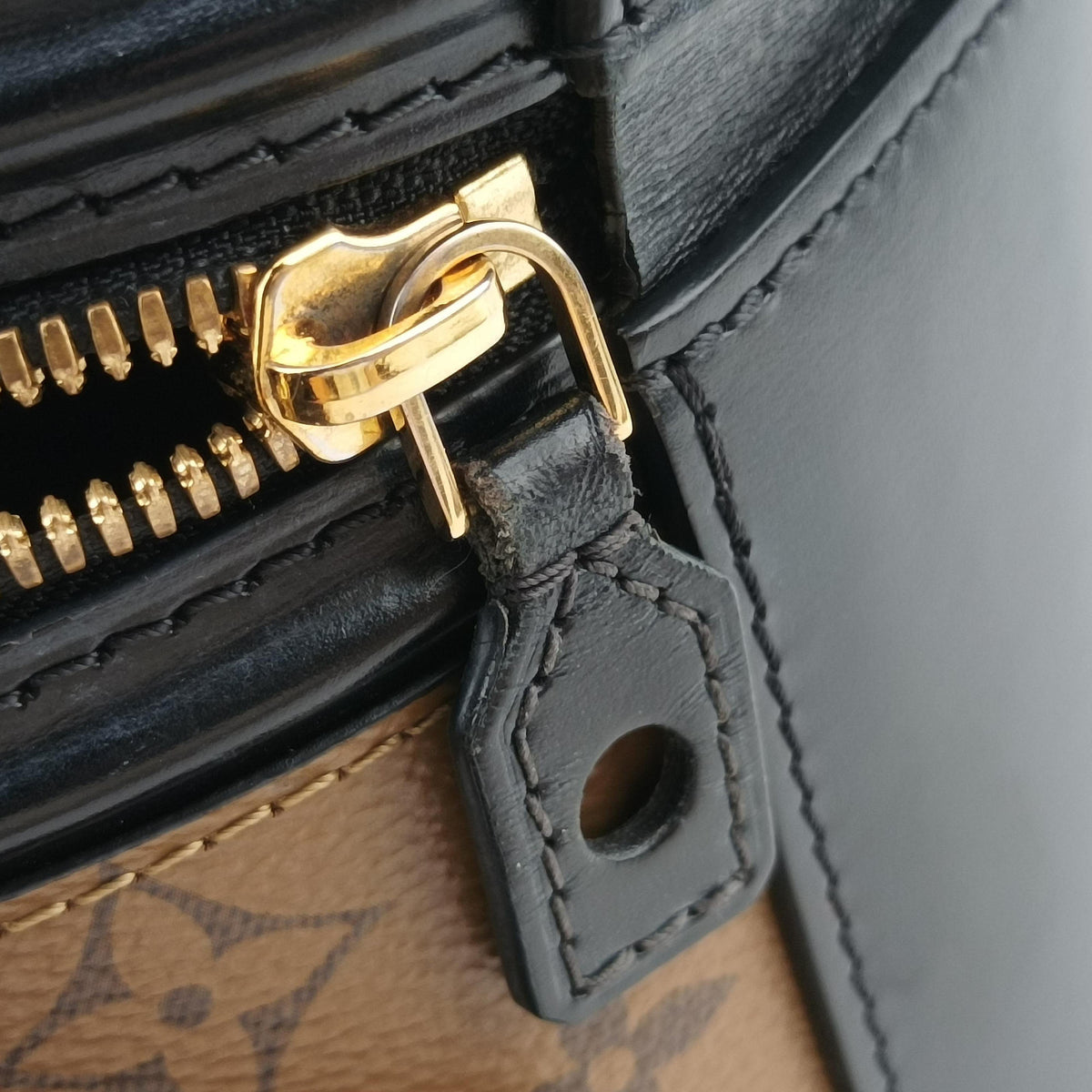 Secondhand Louis Vuitton Cannes Brown × Black Monogram Reverse Giant M43986 shoulderbag | stylenewstar