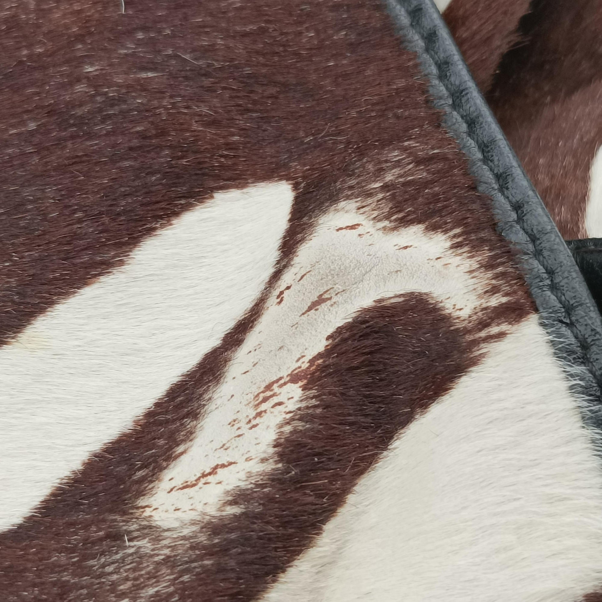 Pre-owned Christian Dior jazz club Brown×Ivory×Black ponyhair  shoulderbag | stylenewstar