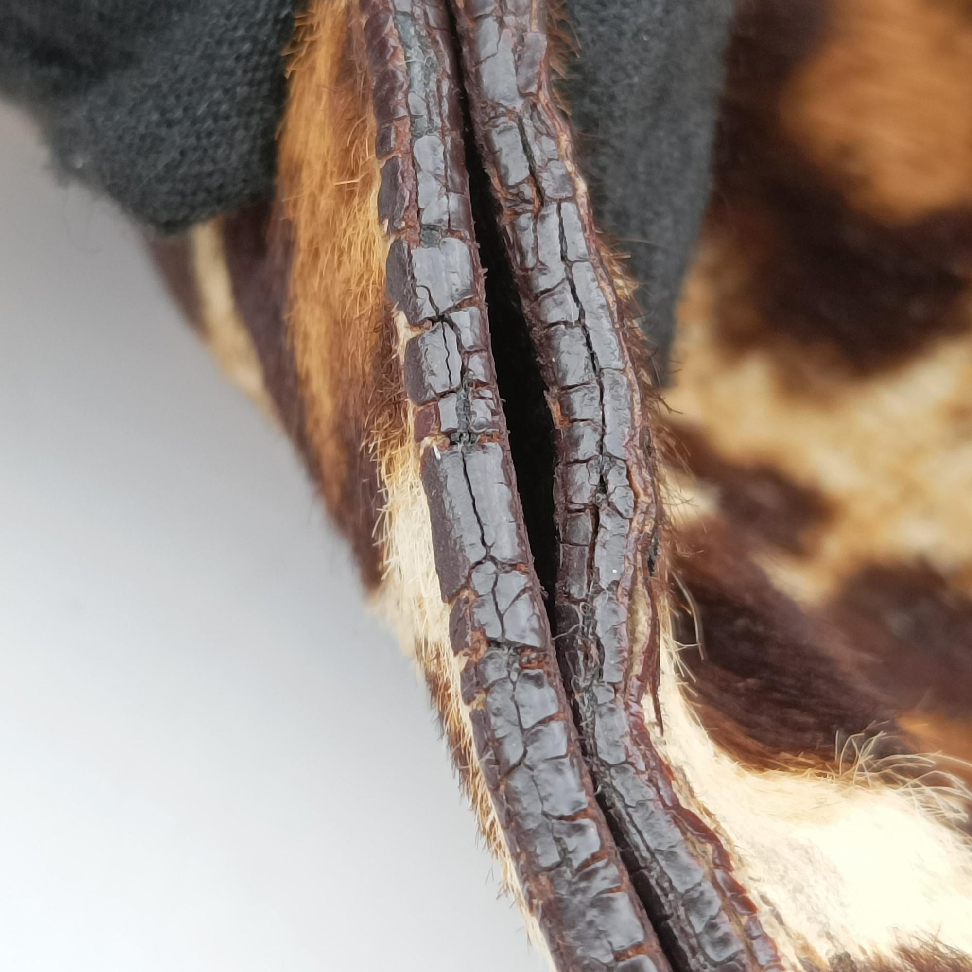 Pre-owned Prada Leopard print Multicolour ponyhair　  shoulderbag | stylenewstar