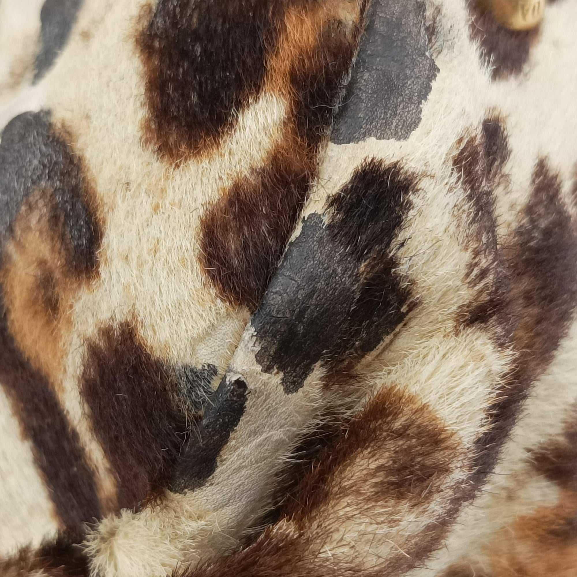 Pre-owned Prada Leopard print Multicolour ponyhair　  shoulderbag | stylenewstar