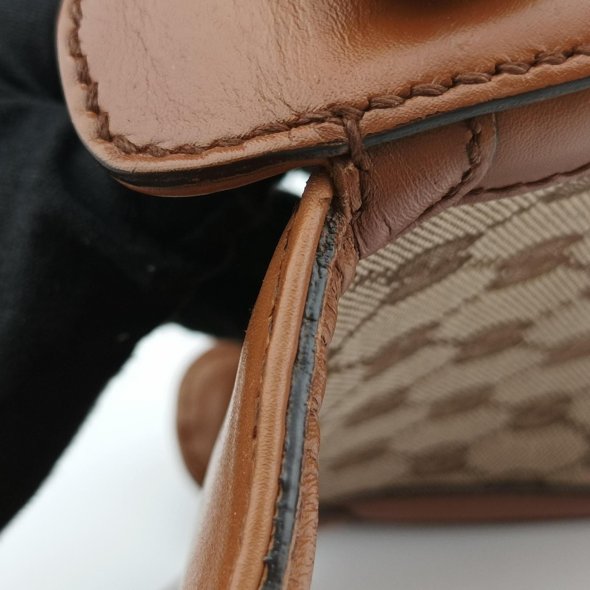 Pre-owned Gucci Lady Web Brown canvas×leather 384821 shoulderbag | stylenewstar