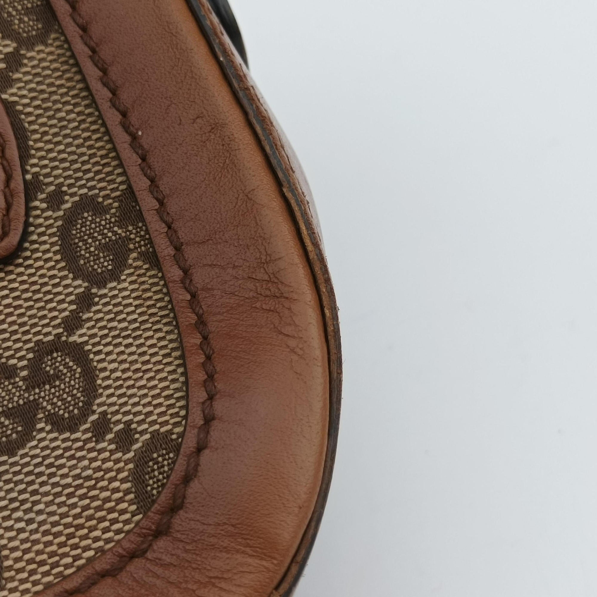 Pre-owned Gucci Lady Web Brown canvas×leather 384821 shoulderbag | stylenewstar