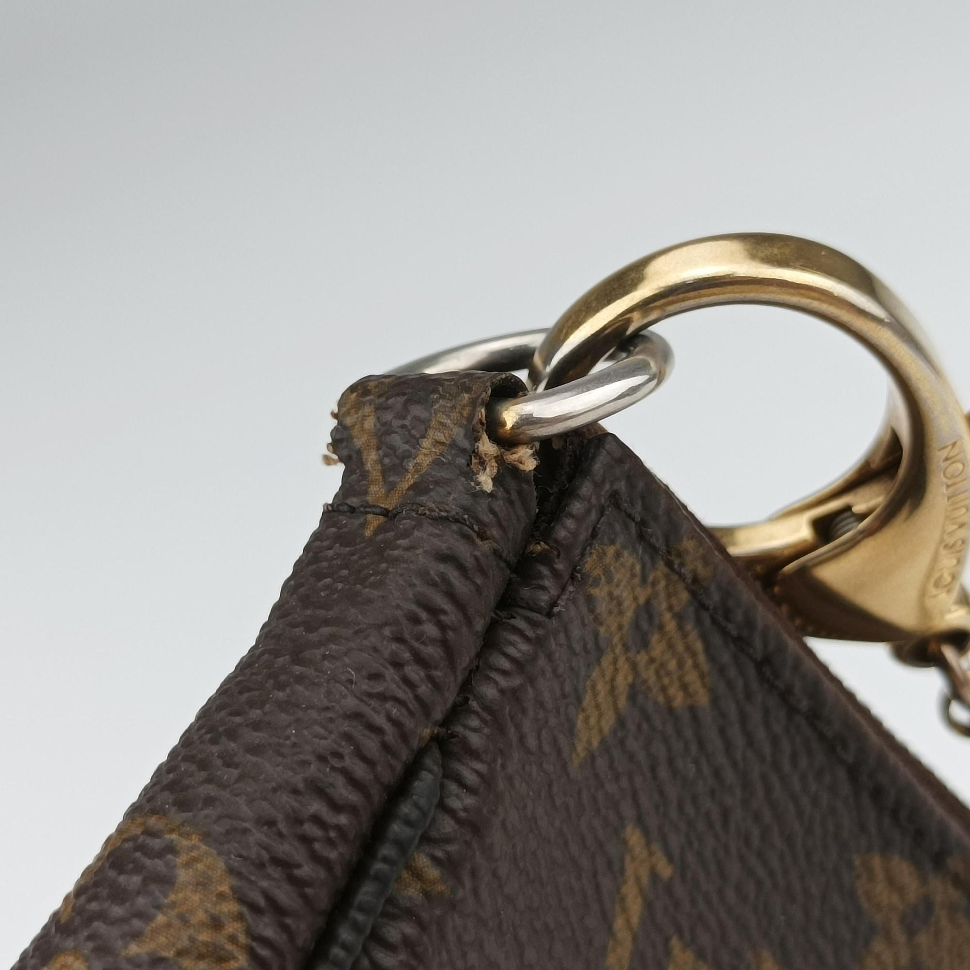 Secondhand Louis Vuitton Mini Pochette Accessoires Brown Monogram Canvas M63798 handbag | stylenewstar