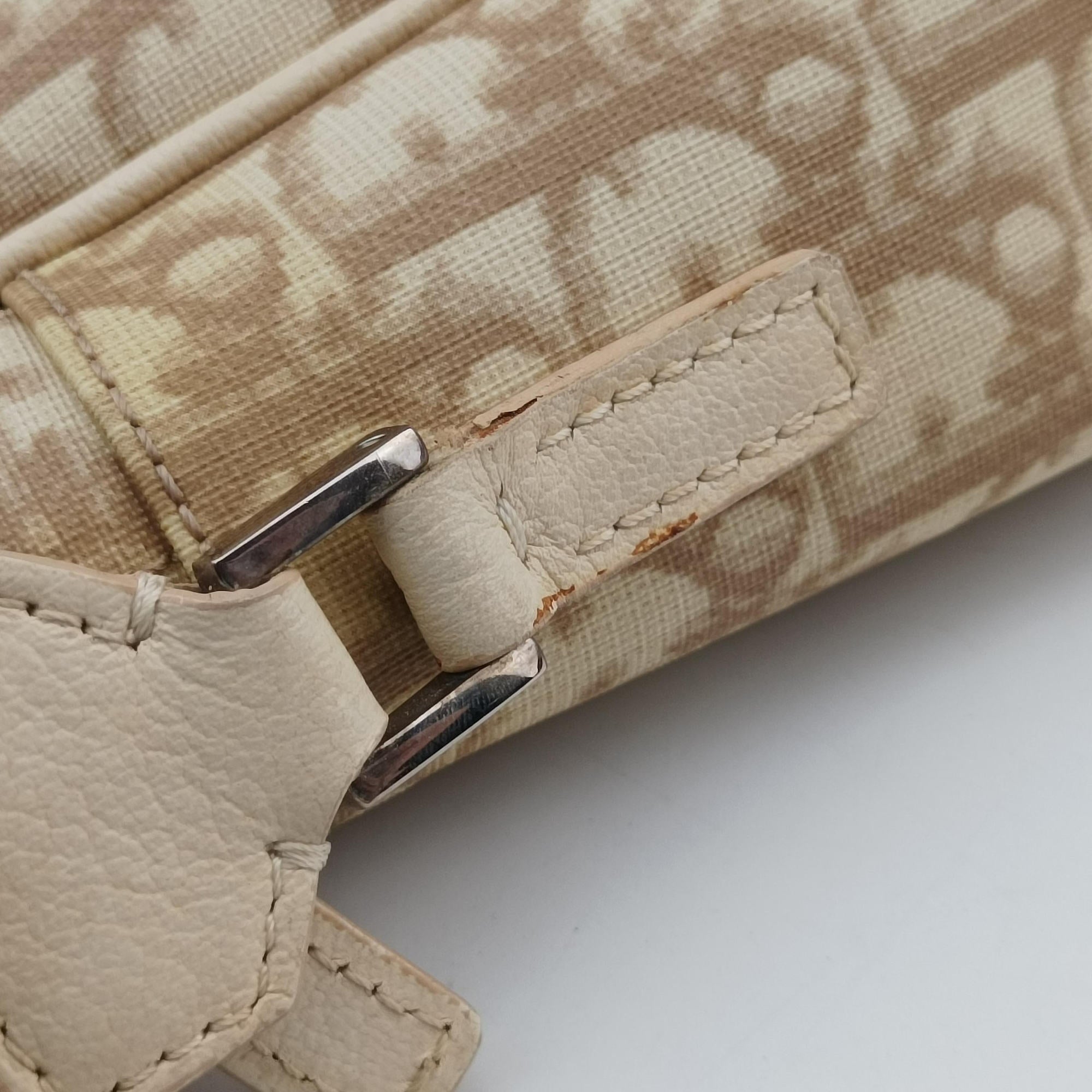 Pre-owned Christian Dior Trotter Flower Beige PVC Coated Canvas Floral Embroidery  shoulderbag | stylenewstar