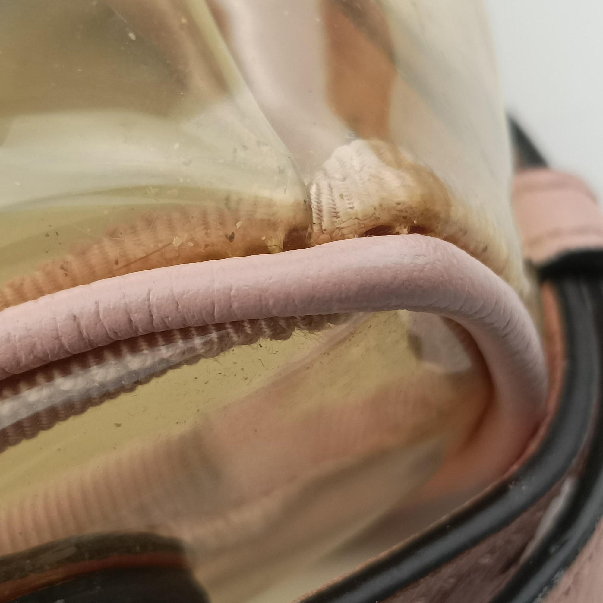 Pre-owned Gucci OPHIDIA Pink×Transparent PVC coated canvas 517350 shoulderbag | stylenewstar