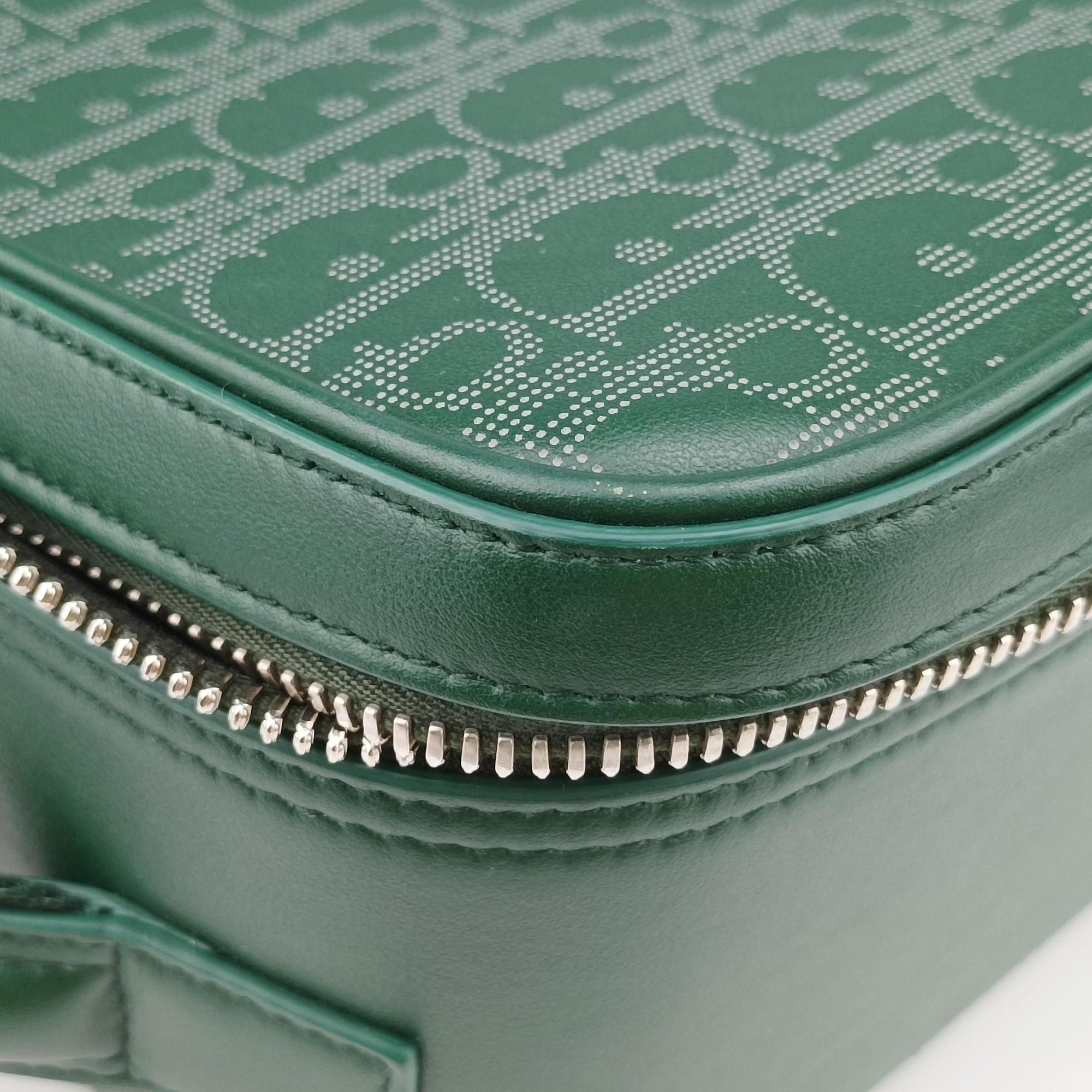Secondhand Christian Dior Dior World Tour Capsule Green Leather  shoulderbag | stylenewstar