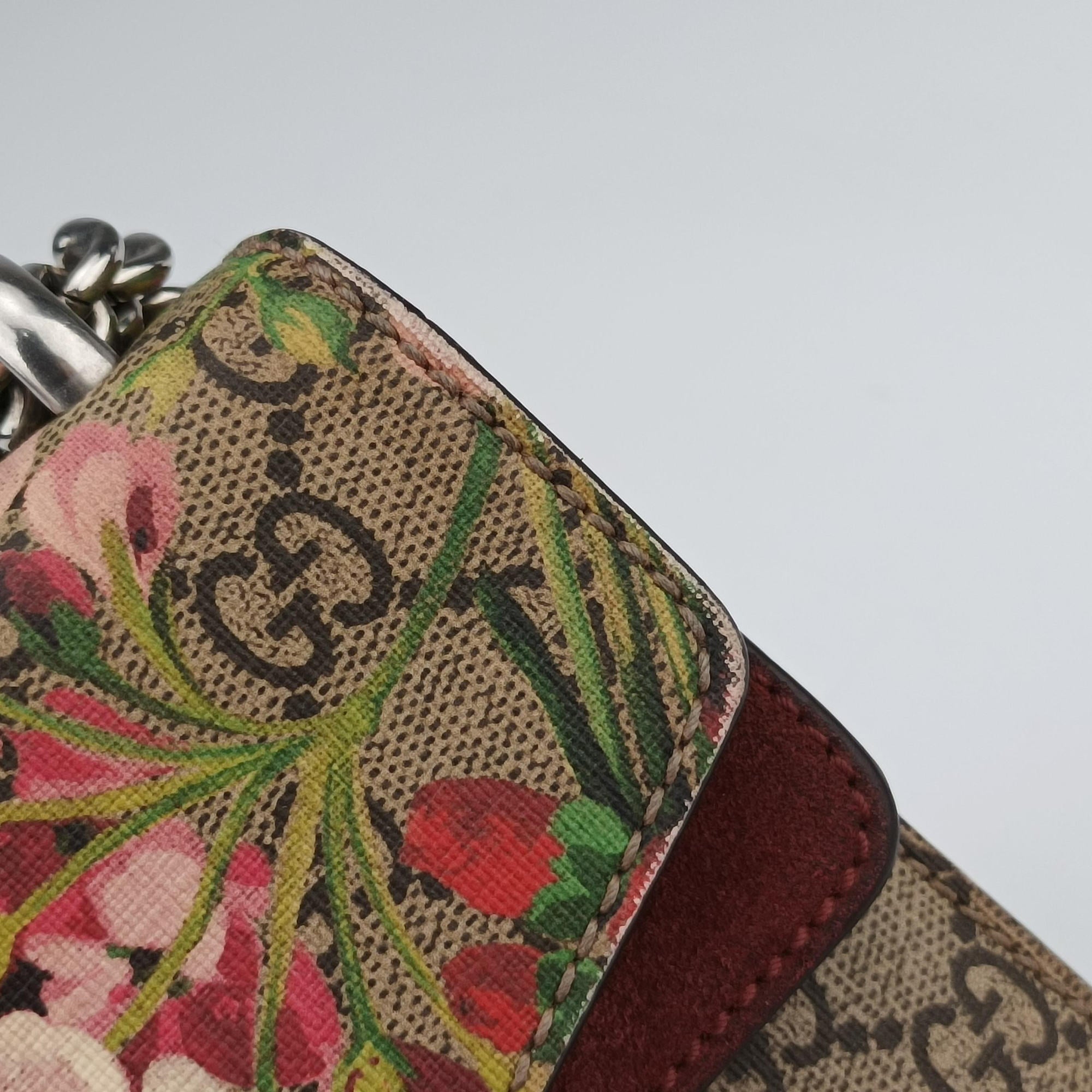 Pre-owned Gucci Dionysus Multicolour PVC coated canvas 421970 shoulderbag | stylenewstar