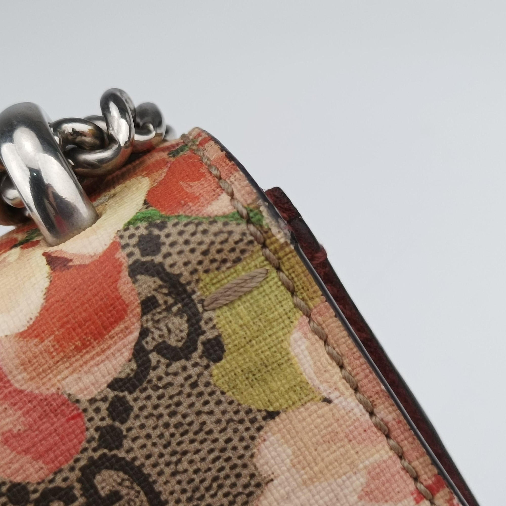 Pre-owned Gucci Dionysus Multicolour PVC coated canvas 421970 shoulderbag | stylenewstar