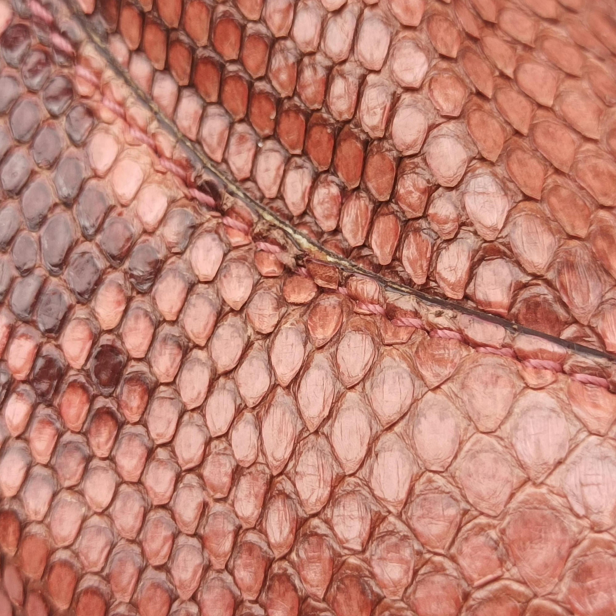 Pre-owned Gucci Bamboo Pink snakeskin 169961 shoulderbag | stylenewstar