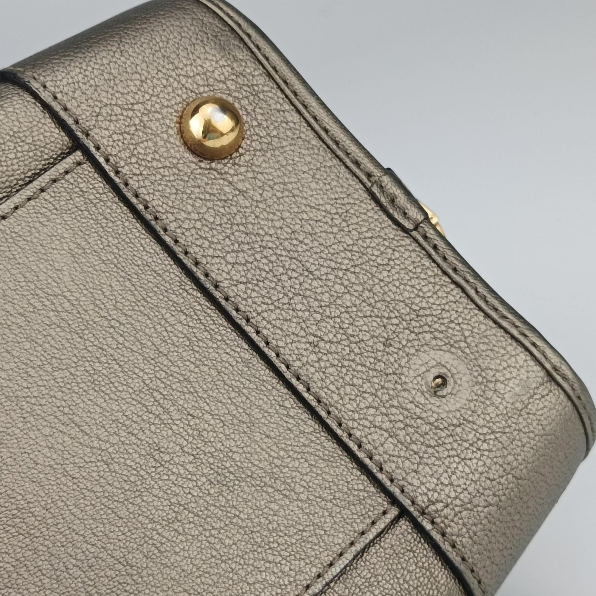 Pre-owned Loewe Amazona 36 Golden Leather  handbag | stylenewstar