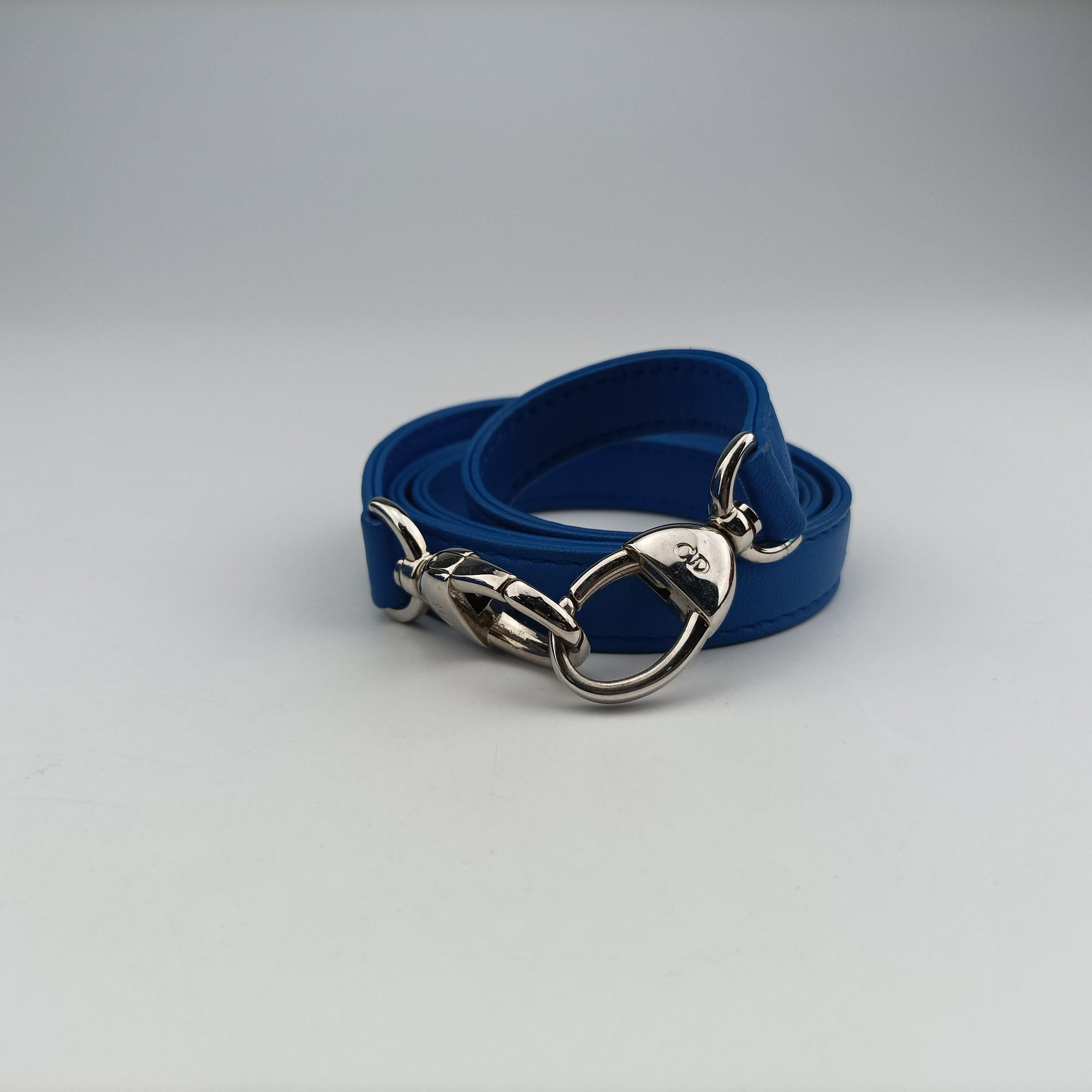 Secondhand Christian Dior Lady Dior Blue lambskin  shoulderbag | stylenewstar
