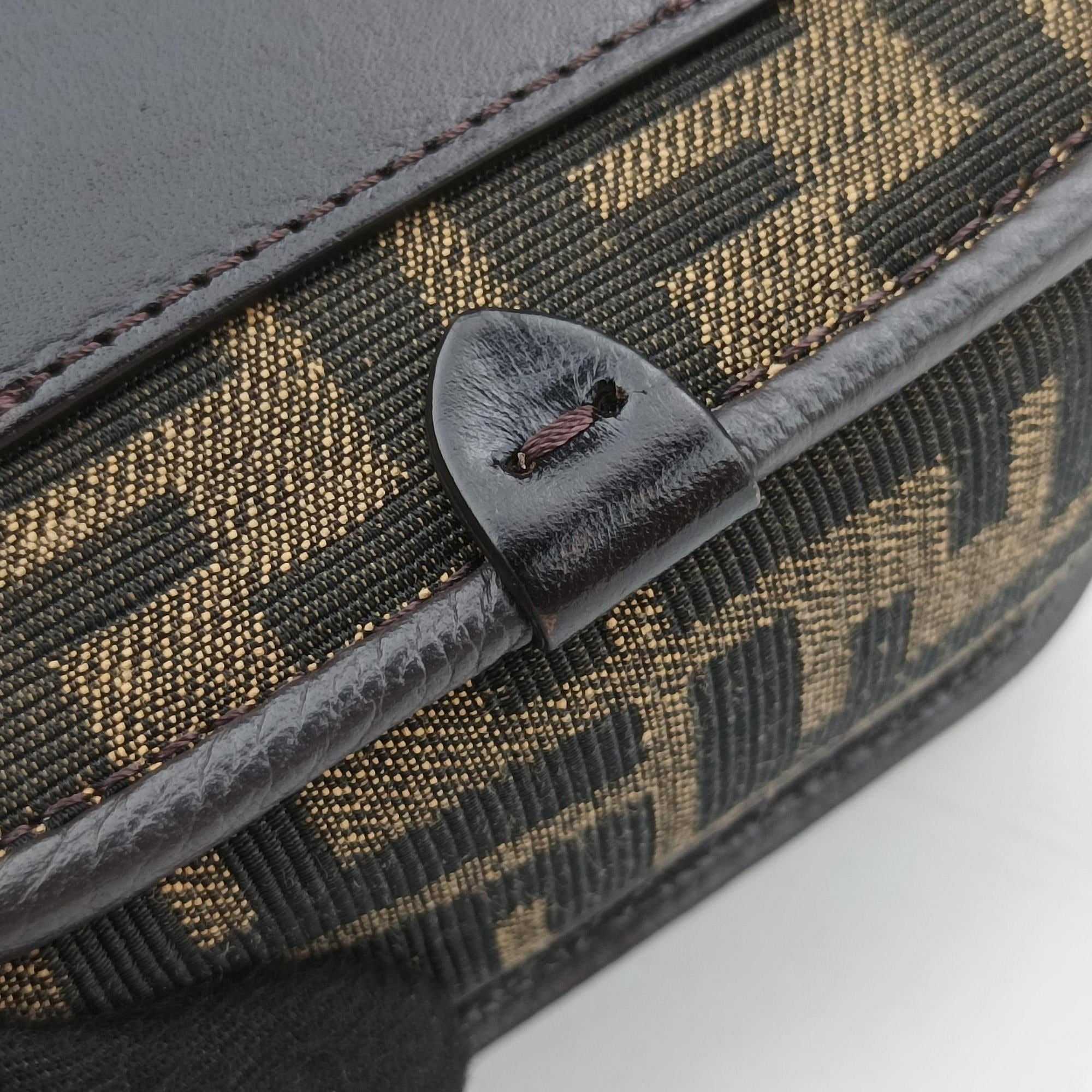 Pre-owned Fendi C'mon Small Brown canvas 7AS219 shoulderbag | stylenewstar