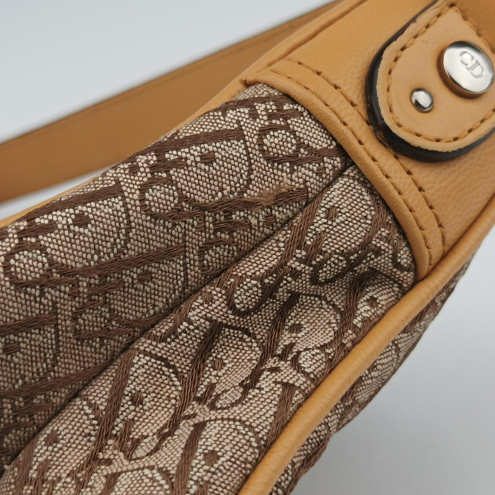 Pre-owned Christian Dior Street Chic Camel Canvas × Leather  handbag | stylenewstar