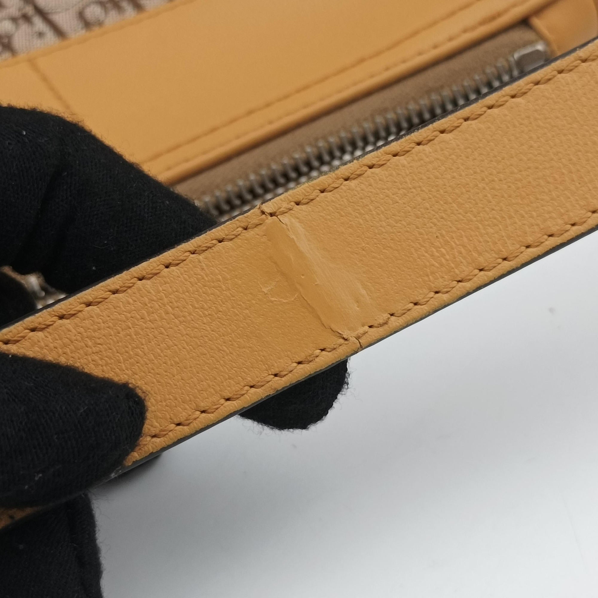 Pre-owned Christian Dior Street Chic Camel Canvas × Leather  handbag | stylenewstar