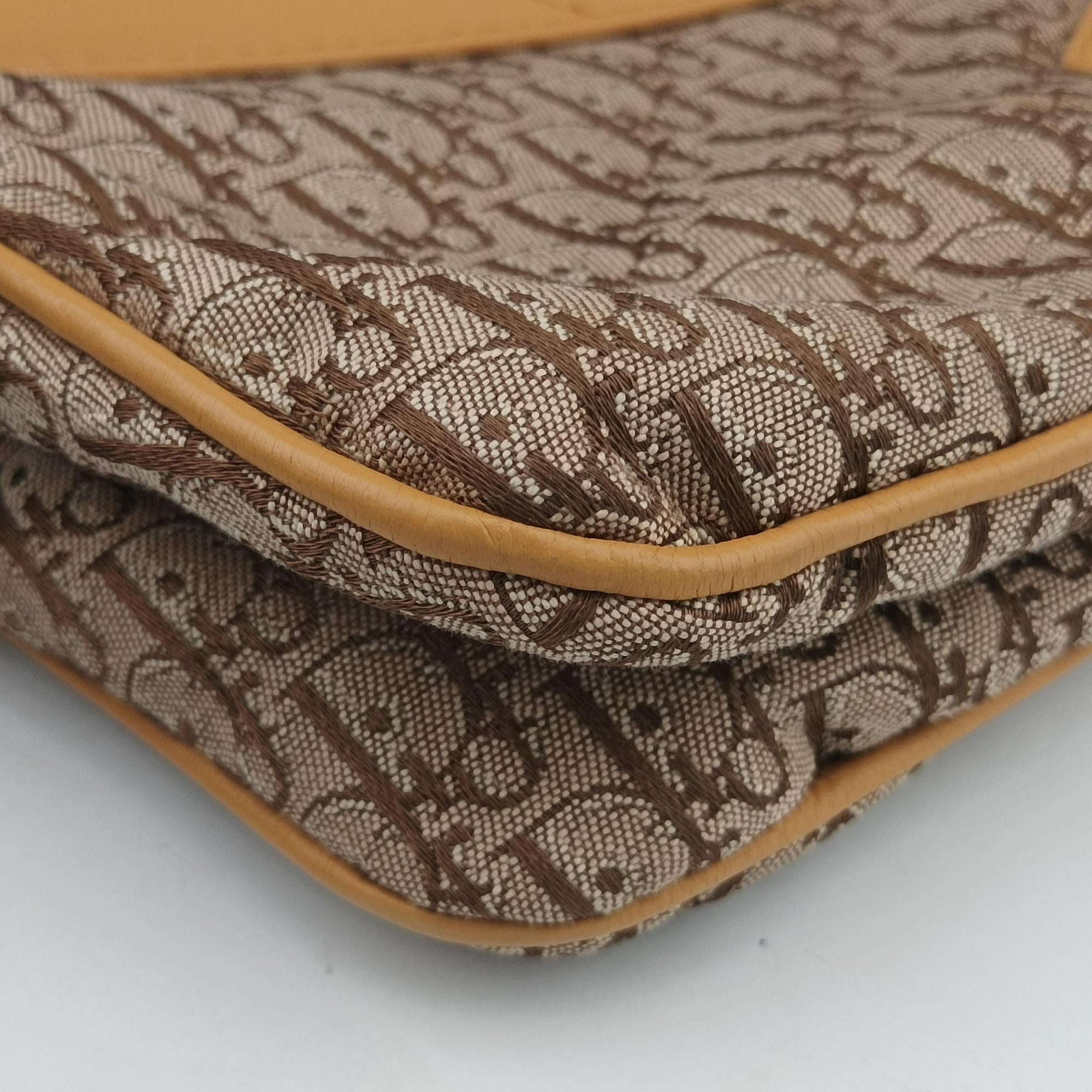 Pre-owned Christian Dior Street Chic Camel Canvas × Leather  handbag | stylenewstar