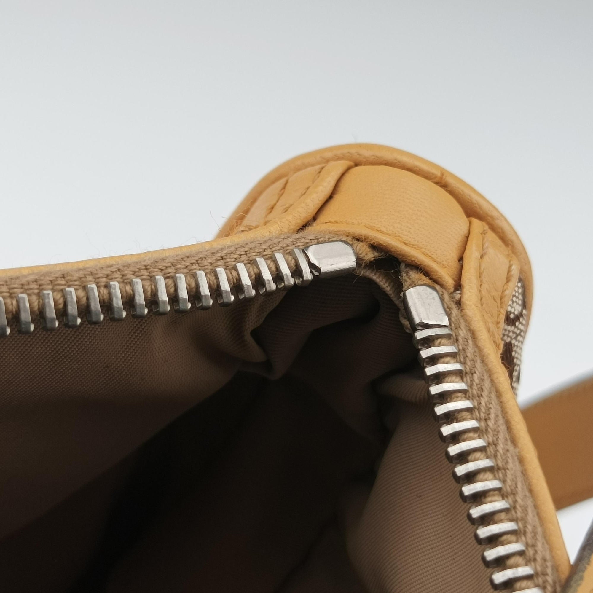 Pre-owned Christian Dior Street Chic Camel Canvas × Leather  handbag | stylenewstar