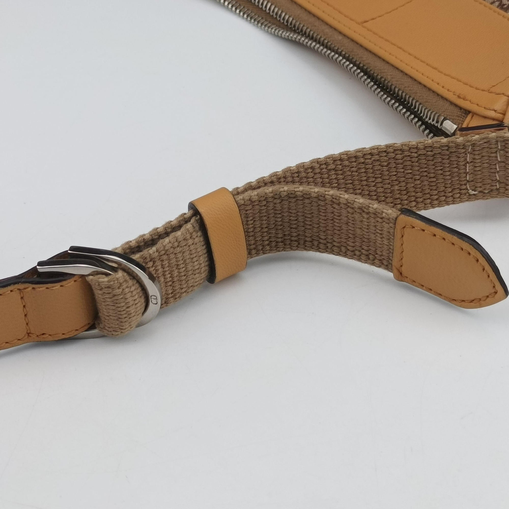 Pre-owned Christian Dior Street Chic Camel Canvas × Leather  handbag | stylenewstar