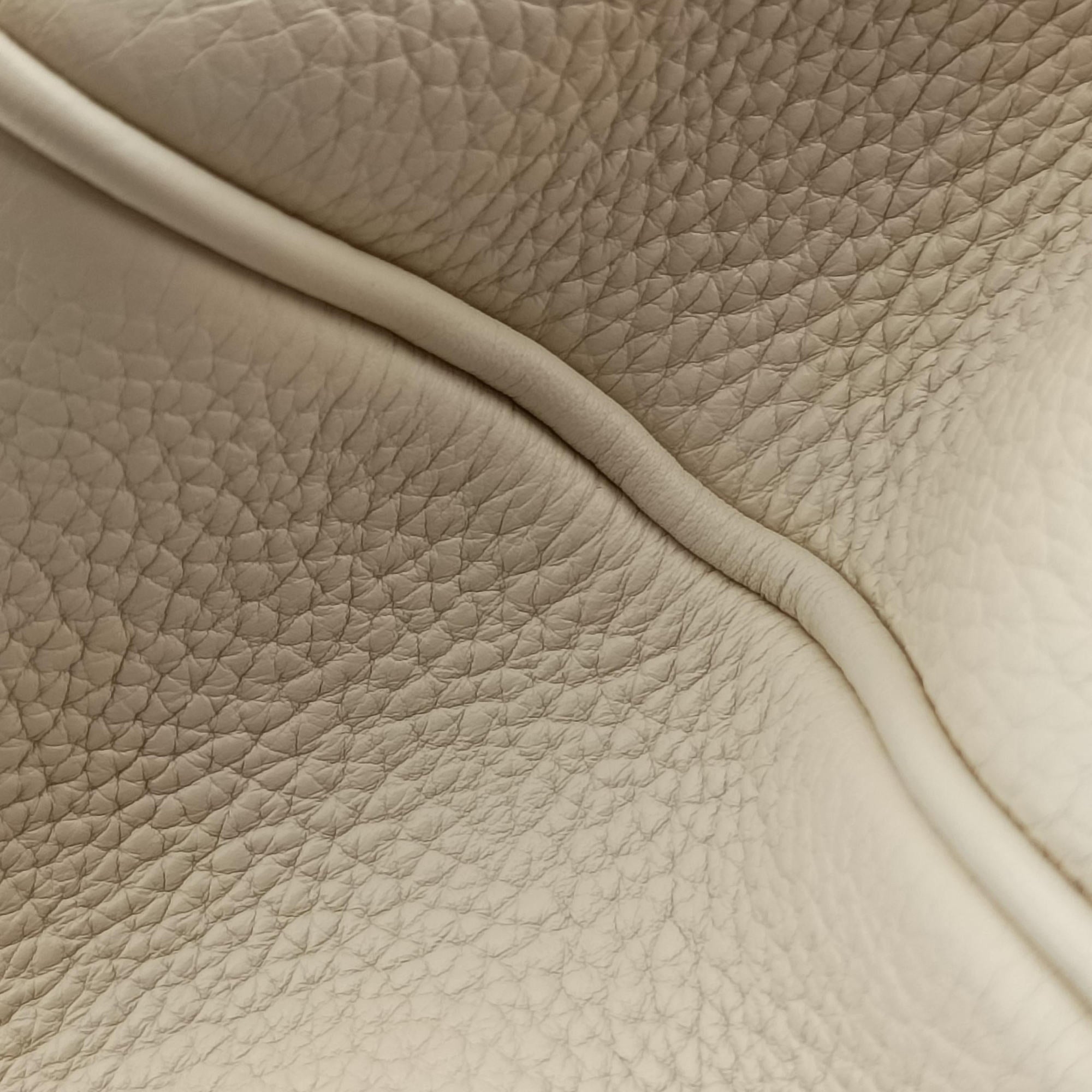 Pre-owned Louis Vuitton Sofia Coppola SC Bag PM Broncasse Taurillon leather M48834 shoulderbag | stylenewstar