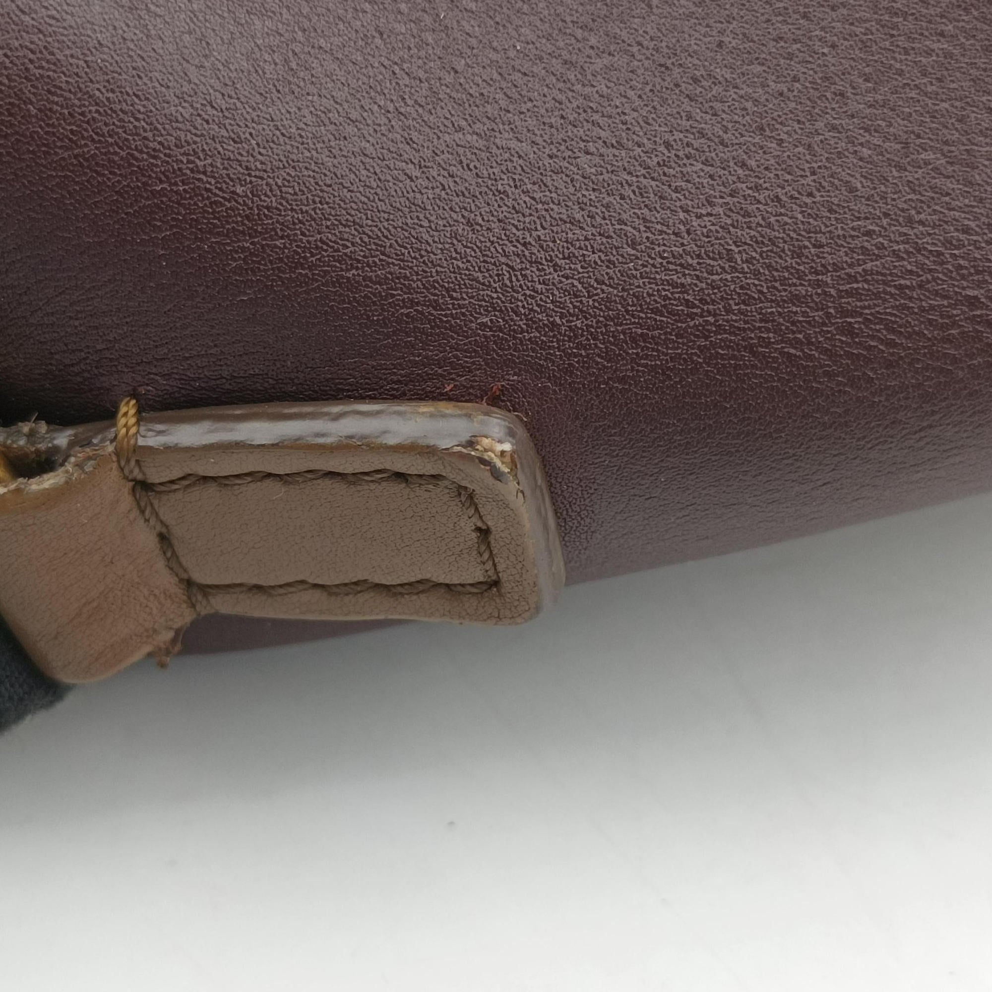 Secondhand Celine luggage nano shopper Black× burgundy ×Brown Leather  shoulderbag | stylenewstar