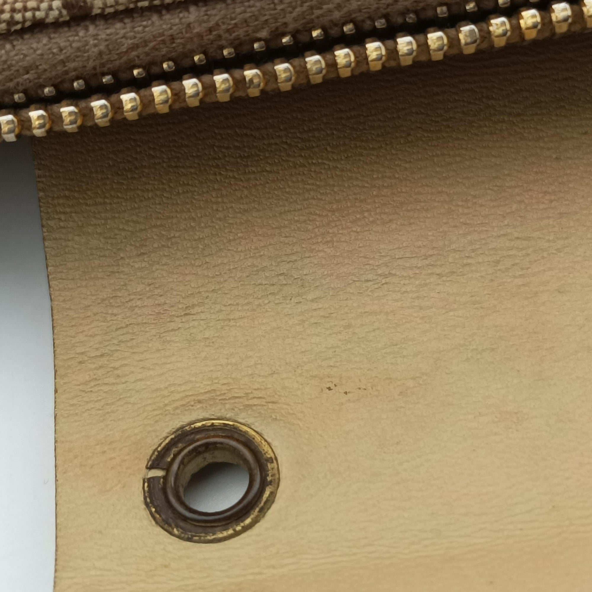 Pre-owned Christian Dior Street Chic Trotter Beige×brown canvas×leather  handbag | stylenewstar