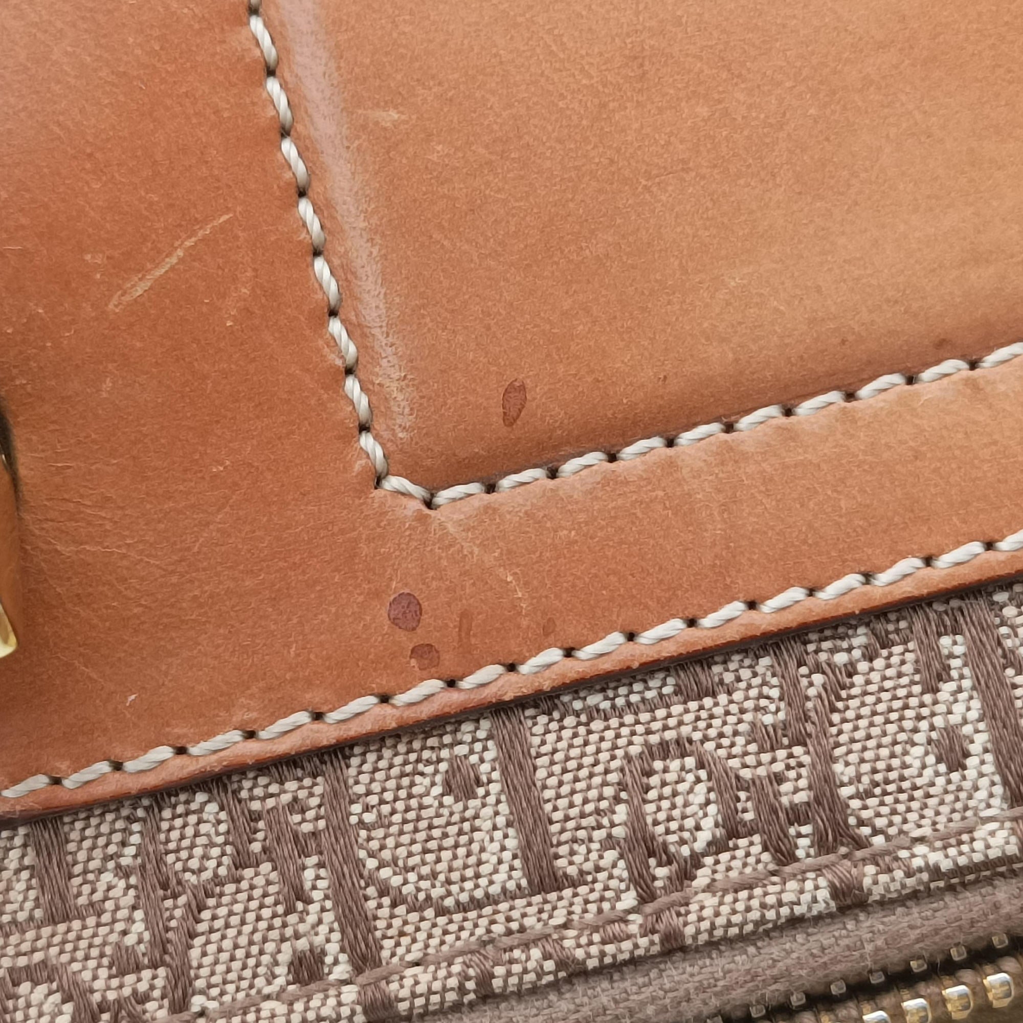 Pre-owned Christian Dior Street Chic Trotter Beige×brown canvas×leather  handbag | stylenewstar