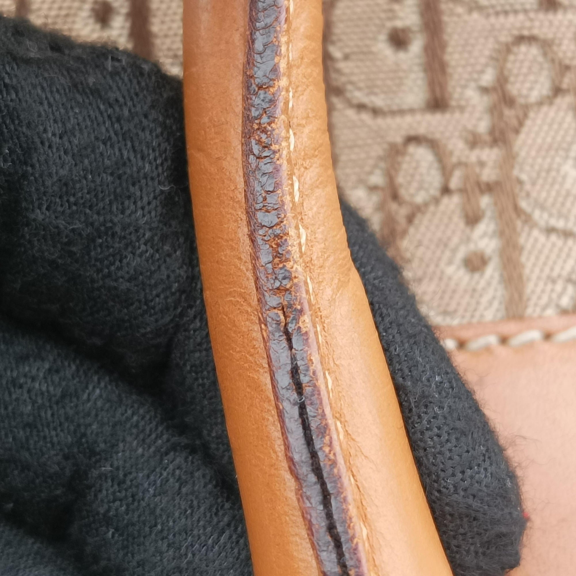 Pre-owned Christian Dior Street Chic Trotter Beige×brown canvas×leather  handbag | stylenewstar