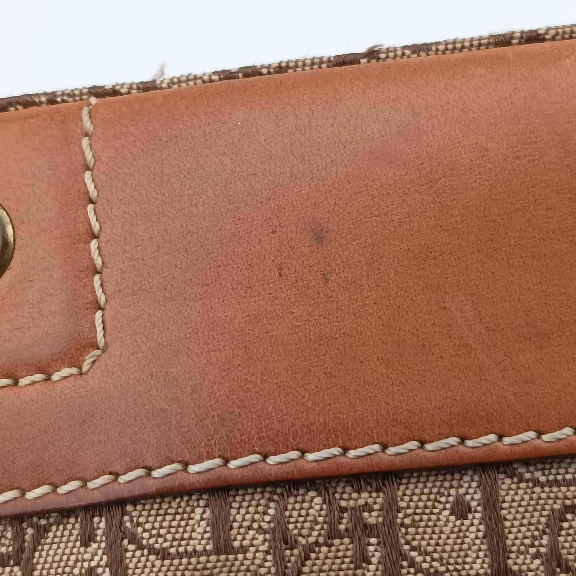 Pre-owned Christian Dior Street Chic Trotter Beige×brown canvas×leather  handbag | stylenewstar