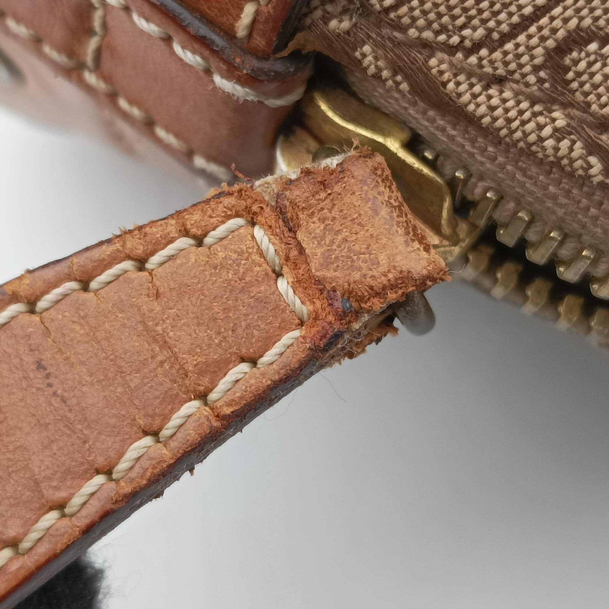 Pre-owned Christian Dior Street Chic Trotter Beige×brown canvas×leather  handbag | stylenewstar