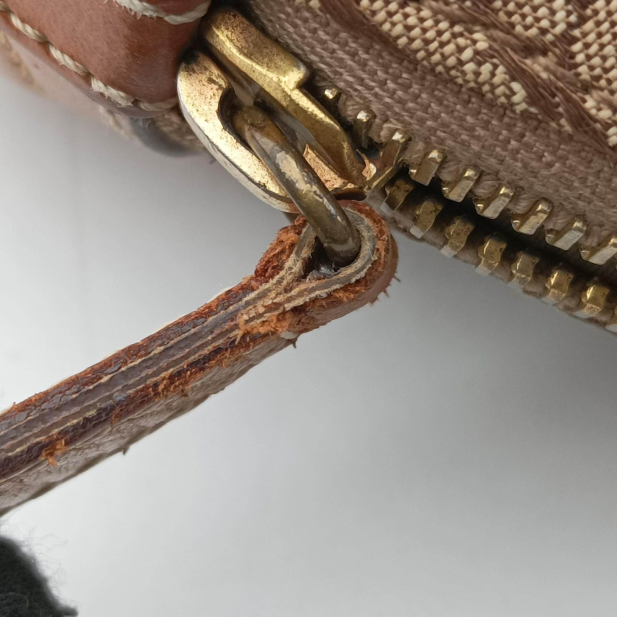 Pre-owned Christian Dior Street Chic Trotter Beige×brown canvas×leather  handbag | stylenewstar