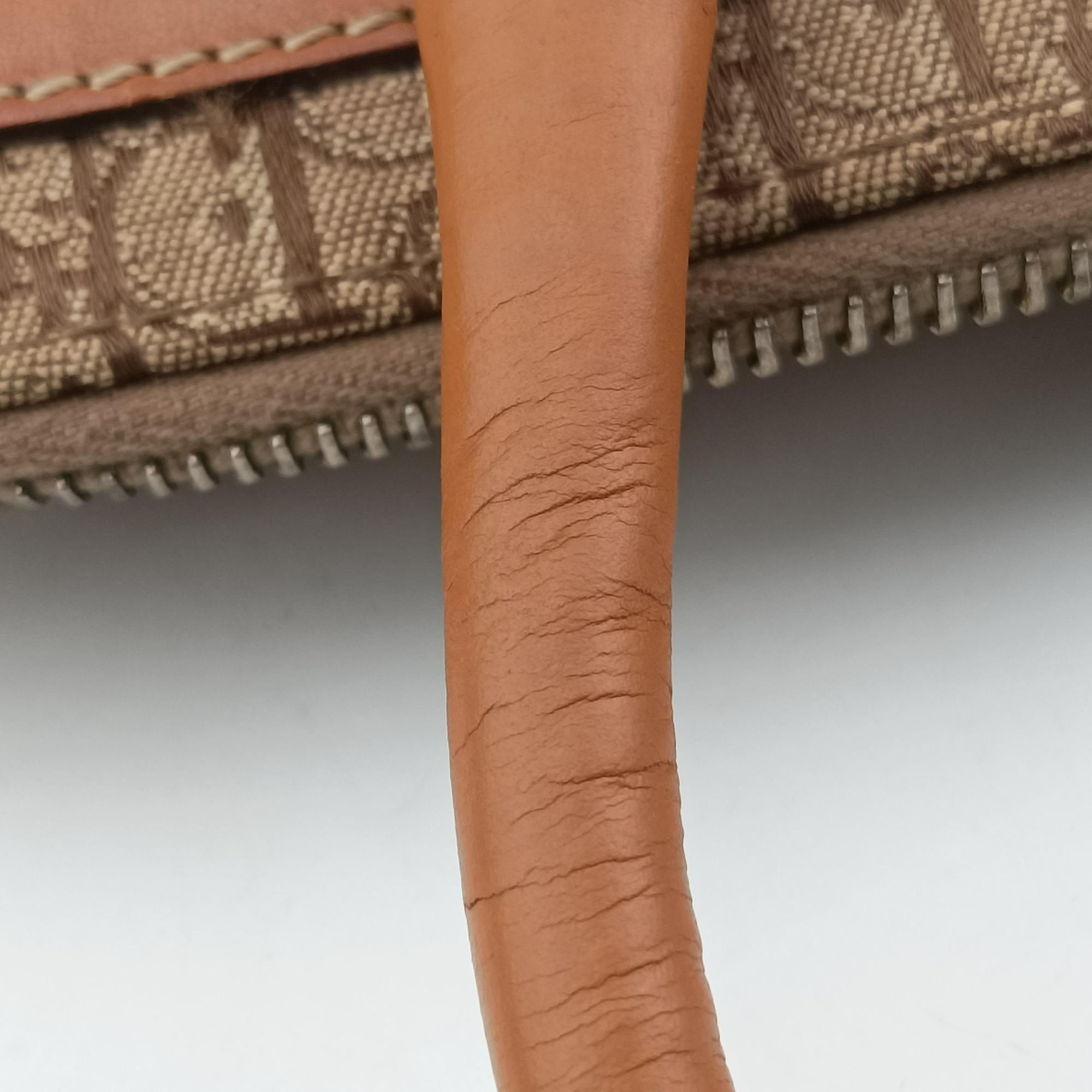 Pre-owned Christian Dior Street Chic Trotter Beige×brown canvas×leather  handbag | stylenewstar