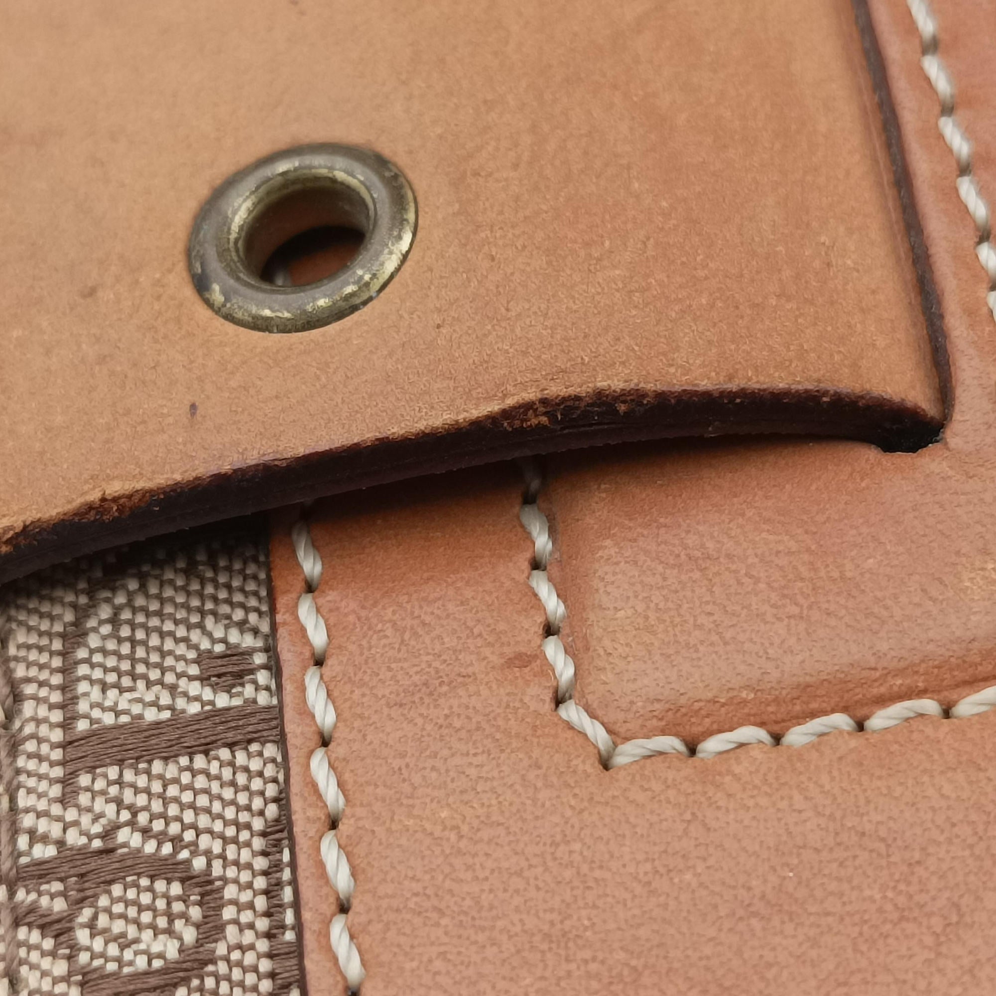 Pre-owned Christian Dior Street Chic Trotter Beige×brown canvas×leather  handbag | stylenewstar