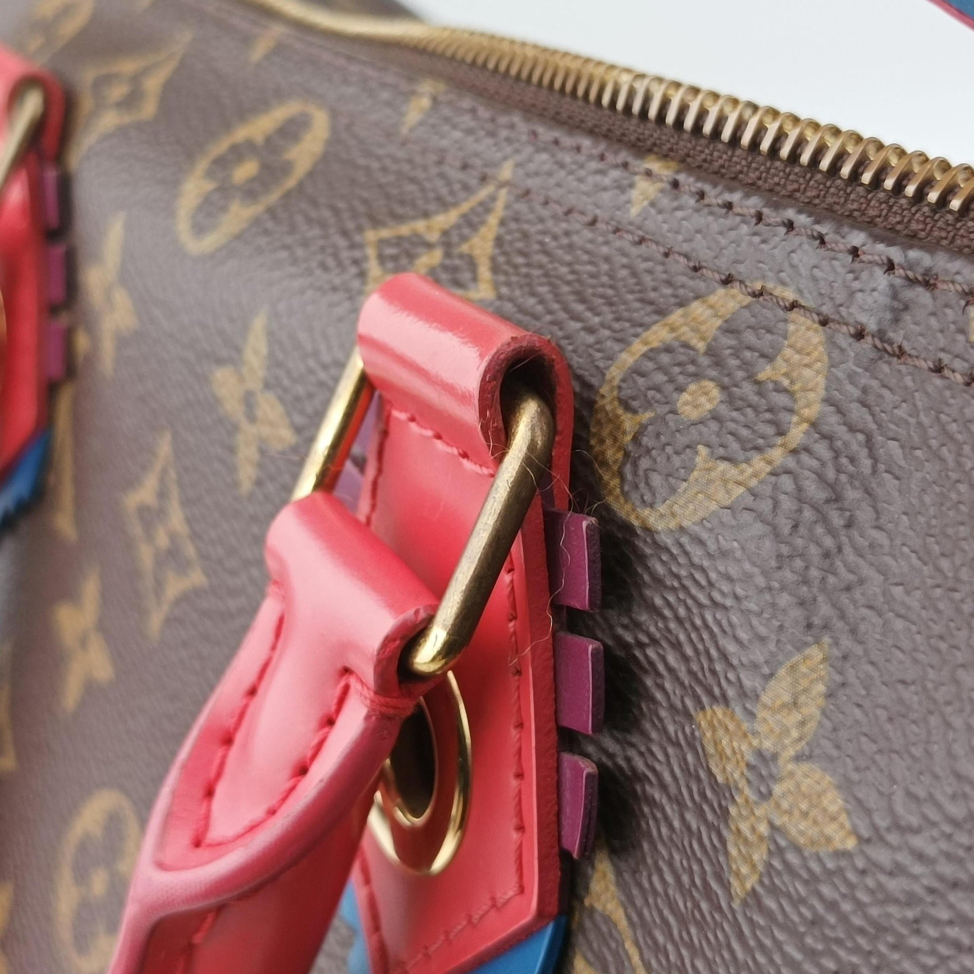 Pre-owned Louis Vuitton SPEEDY30 brown×Flamingo Monogram Totem M41665 handbag | stylenewstar