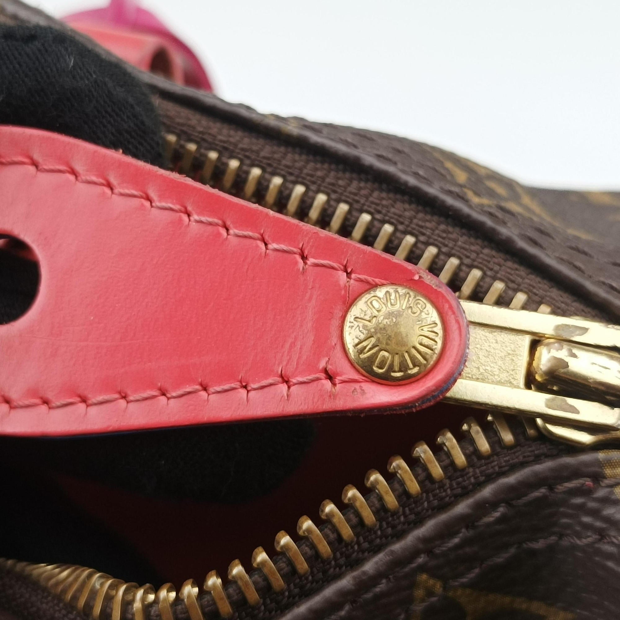 Pre-owned Louis Vuitton SPEEDY30 brown×Flamingo Monogram Totem M41665 handbag | stylenewstar