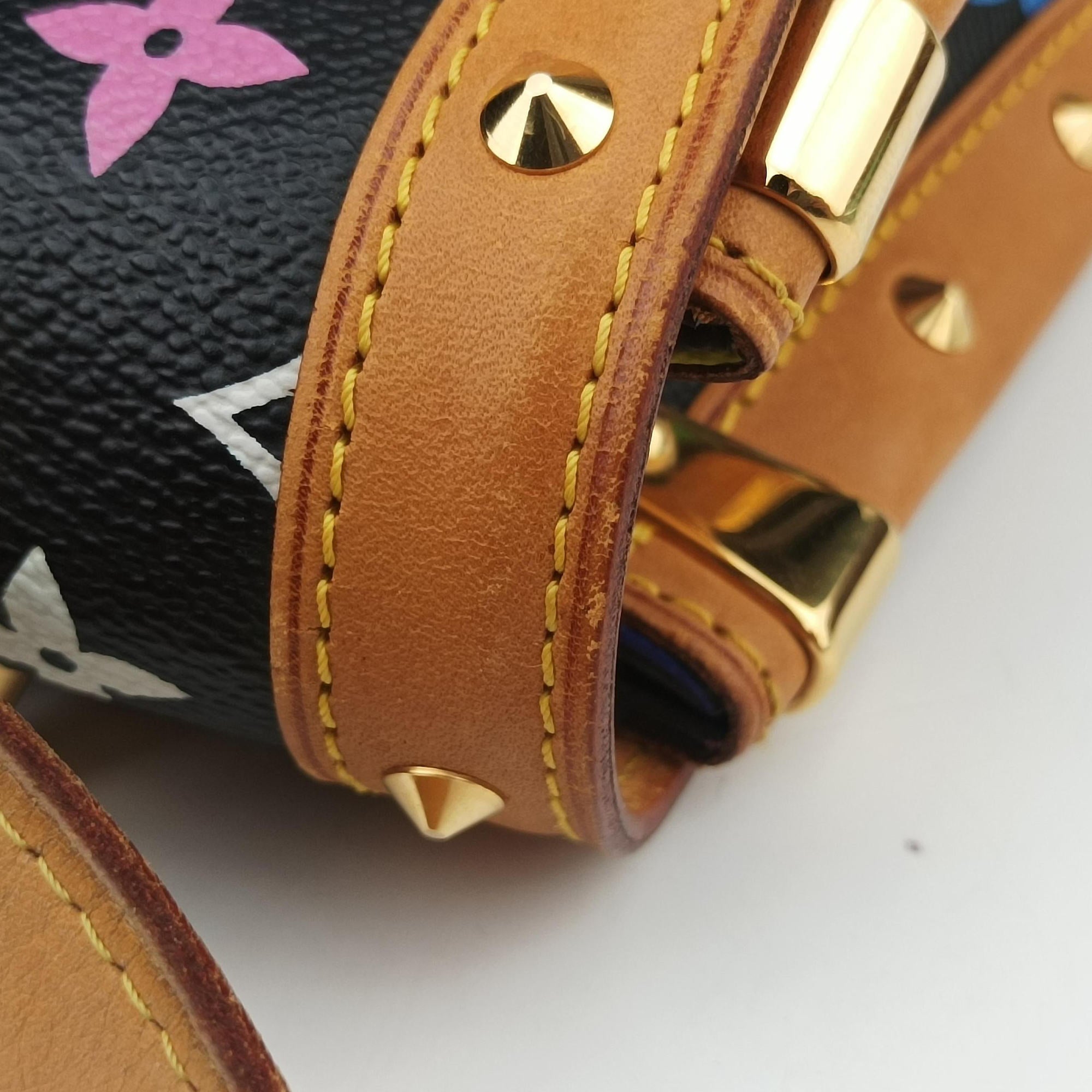 Pre-owned Louis Vuitton Eye need you Noir Monogram Multicolor M92050 shoulderbag | stylenewstar