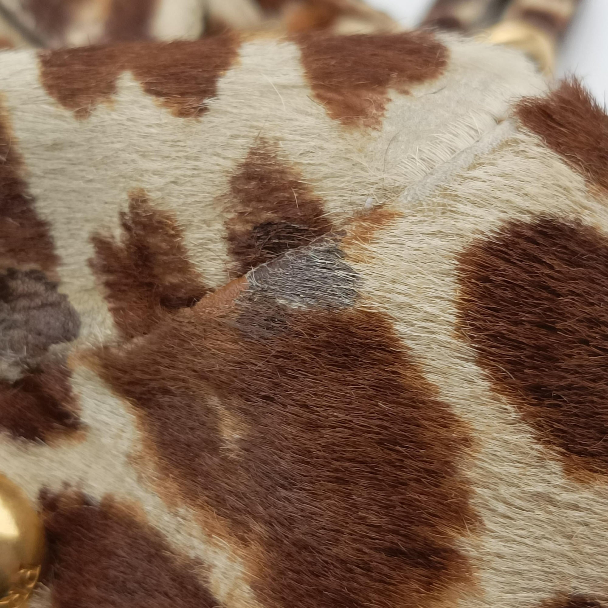 Pre-owned Prada Leopard print Multicolour ponyhair　  shoulderbag | stylenewstar
