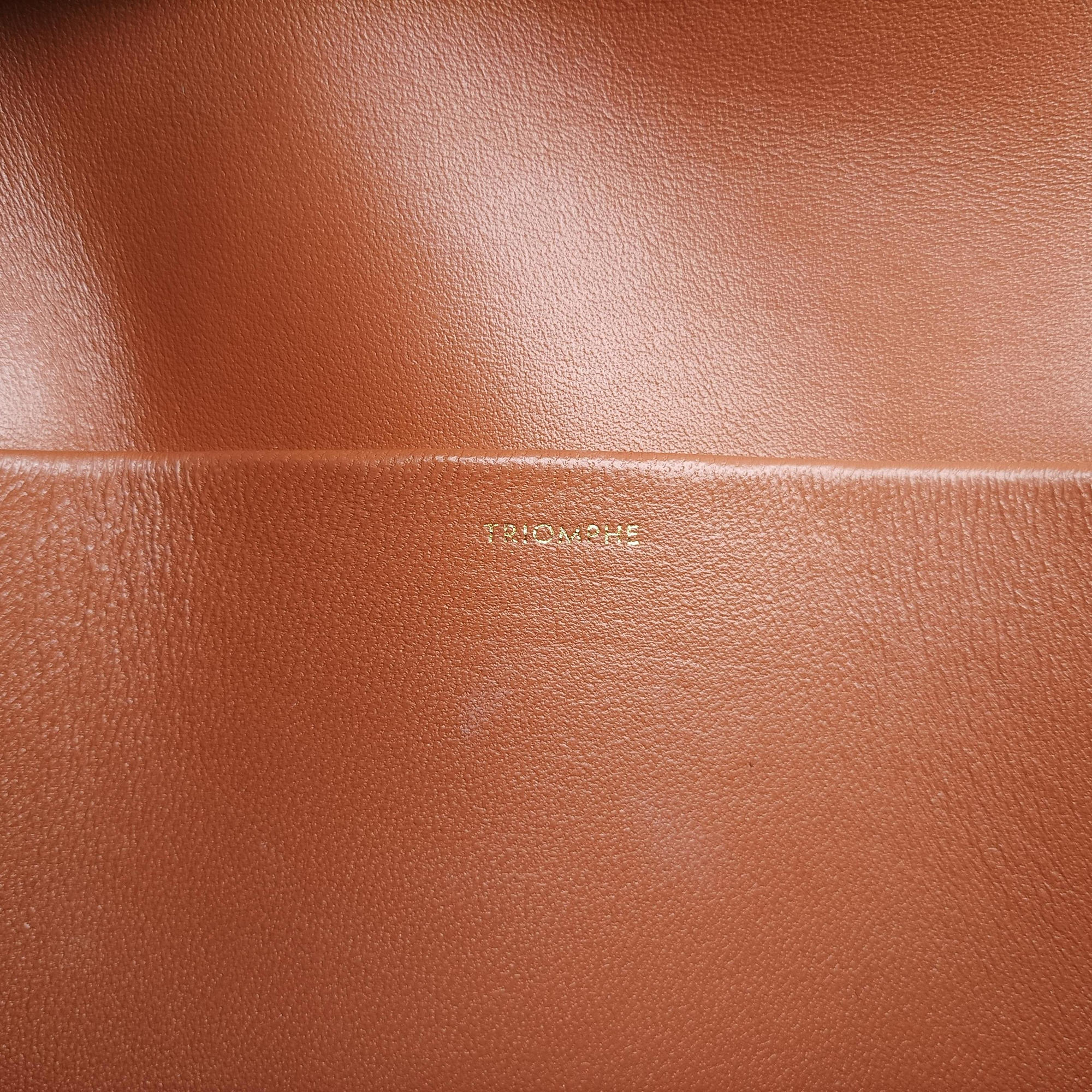 Pre-owned Celine Claude Triomphe Brown PVC coated canvas  shoulderbag | stylenewstar